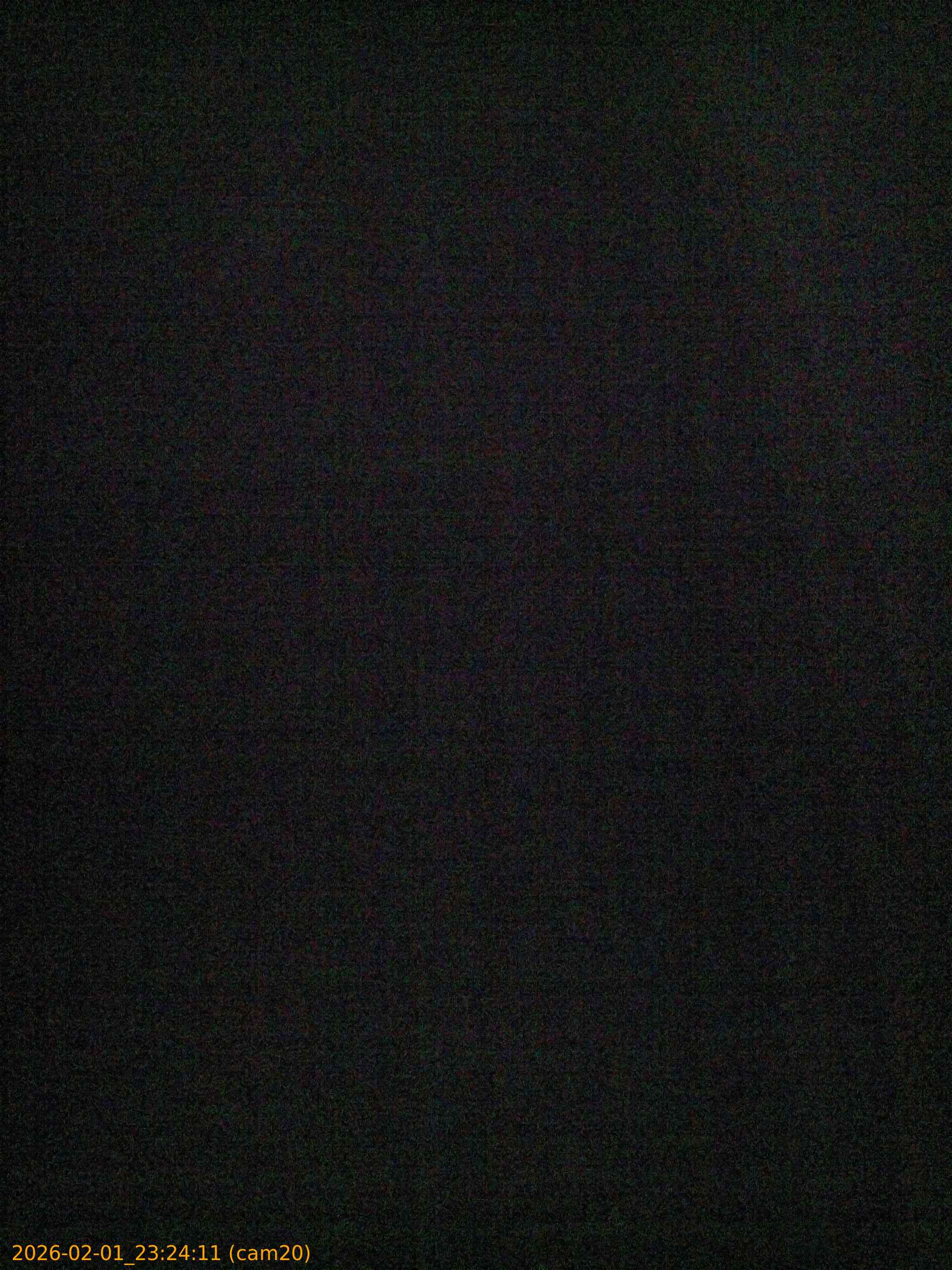 thumbnail_20260201232411