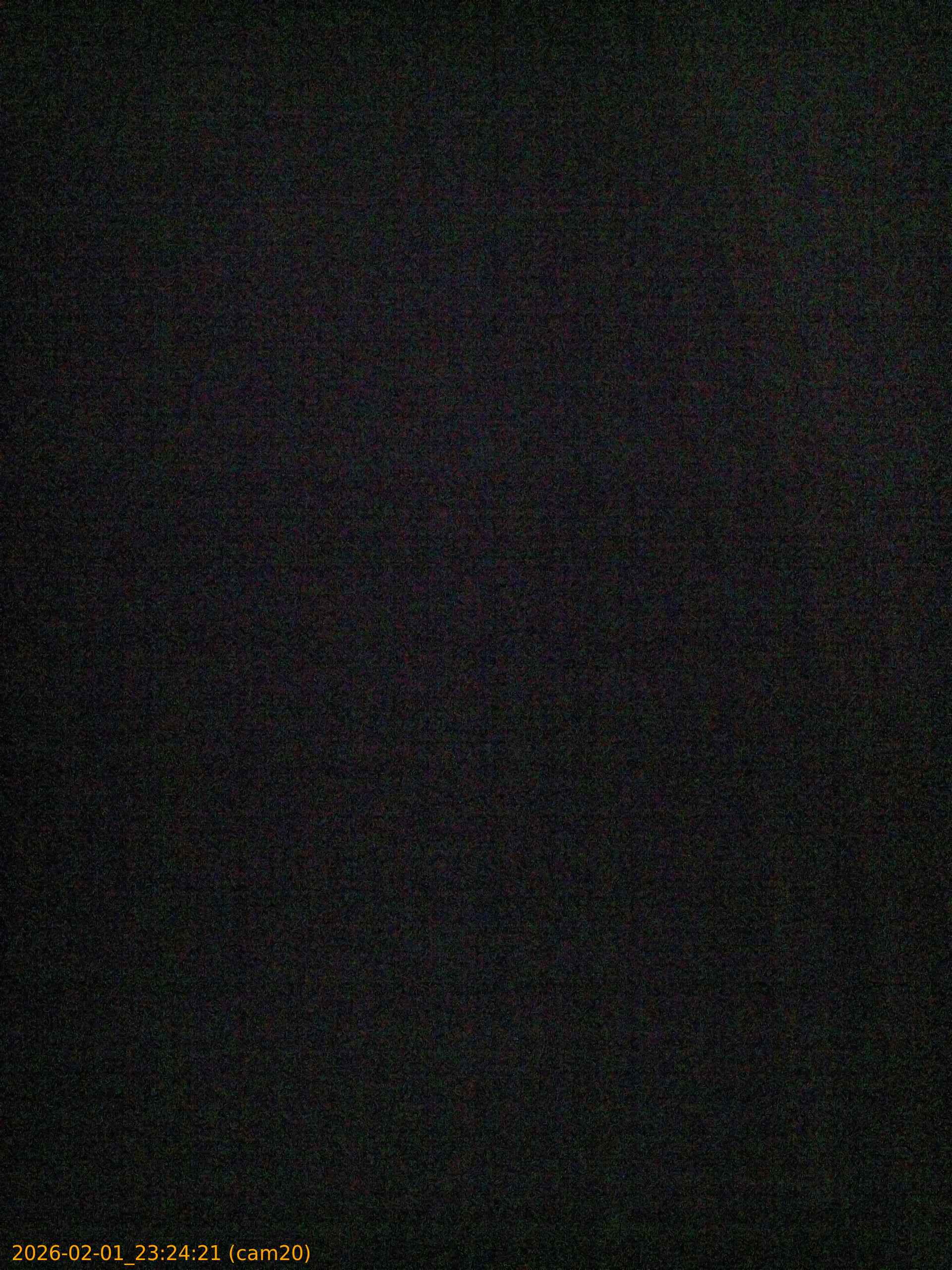 thumbnail_20260201232421