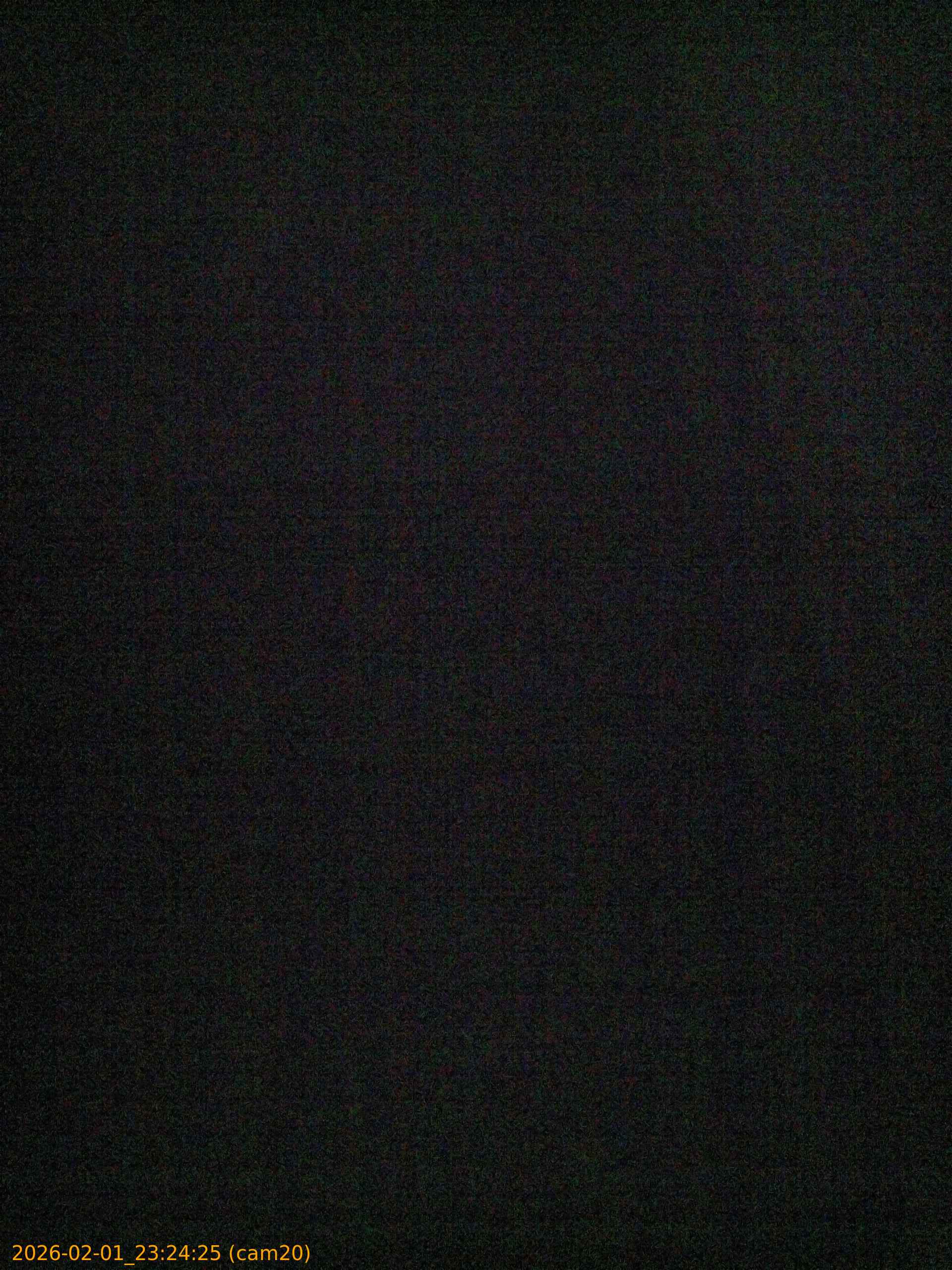 thumbnail_20260201232425