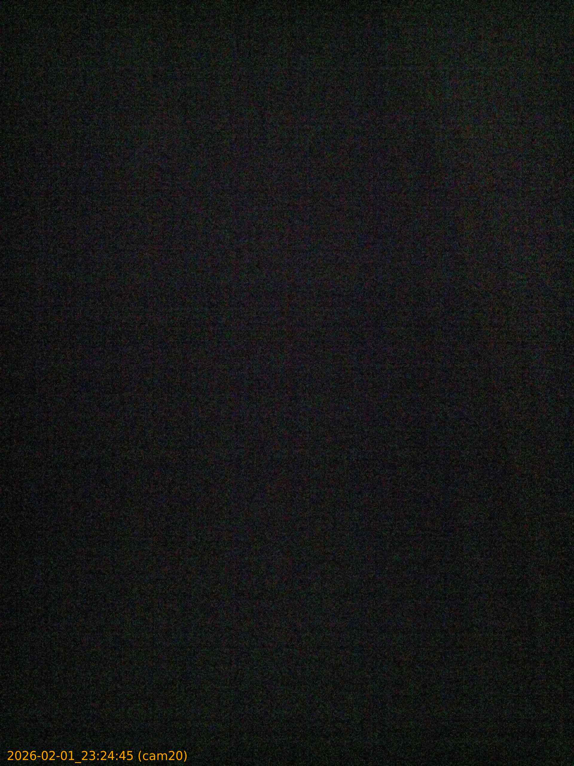 thumbnail_20260201232445