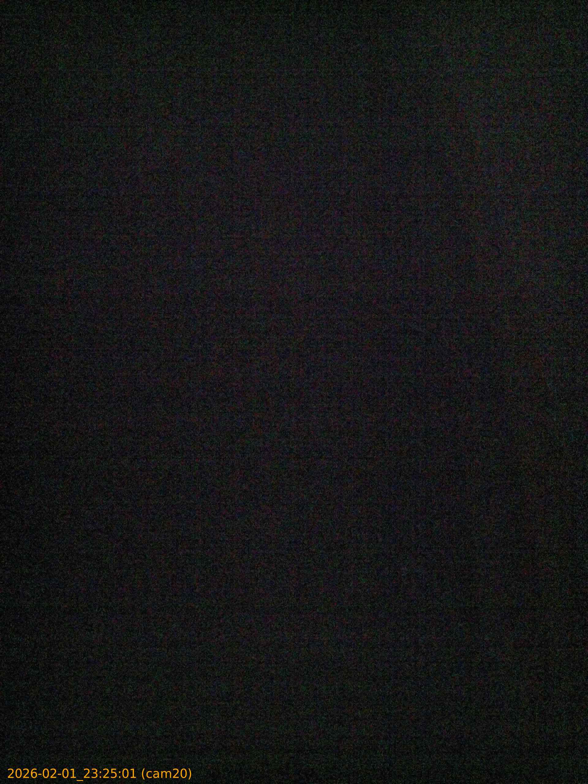 thumbnail_20260201232501