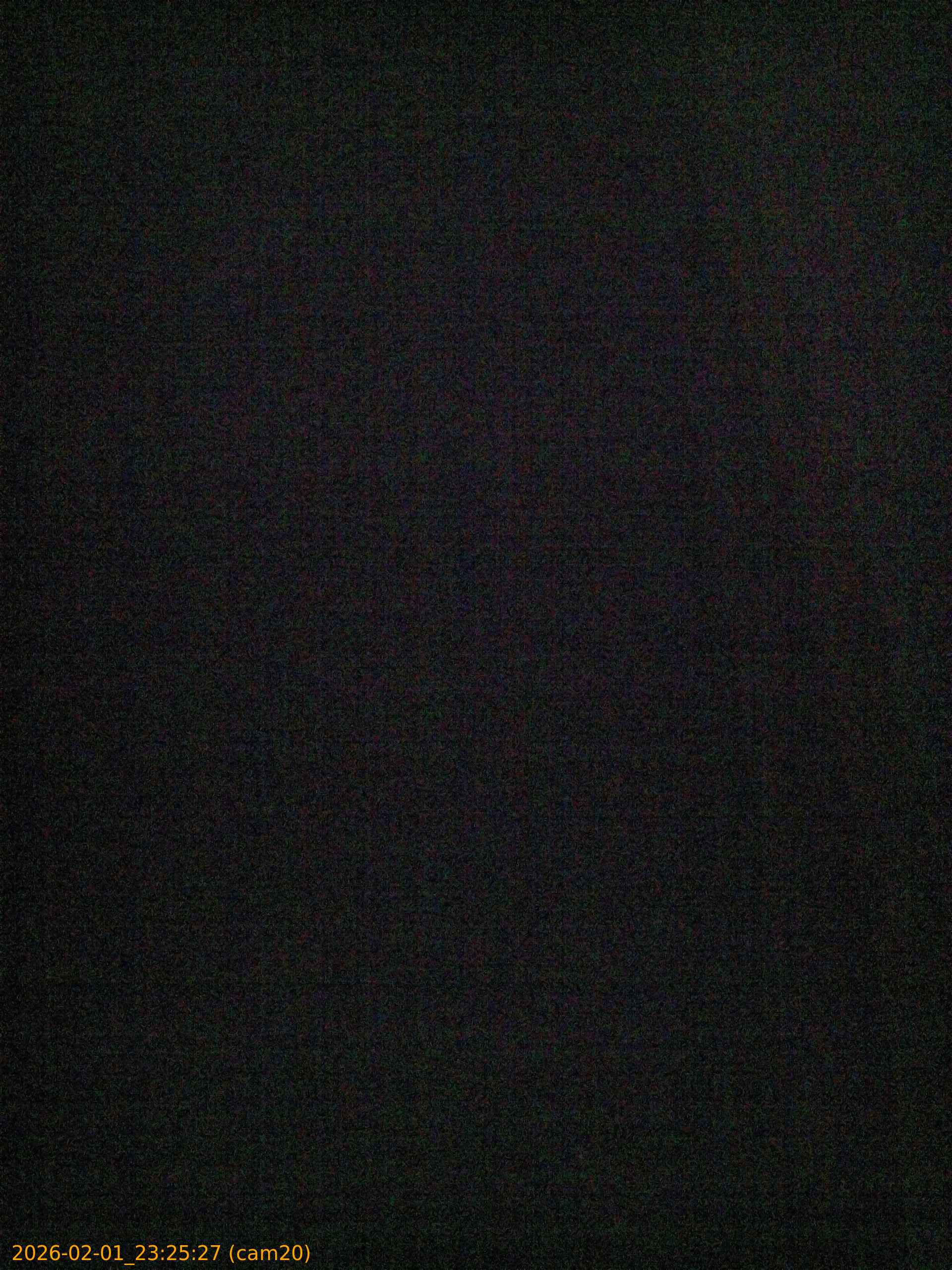 thumbnail_20260201232527