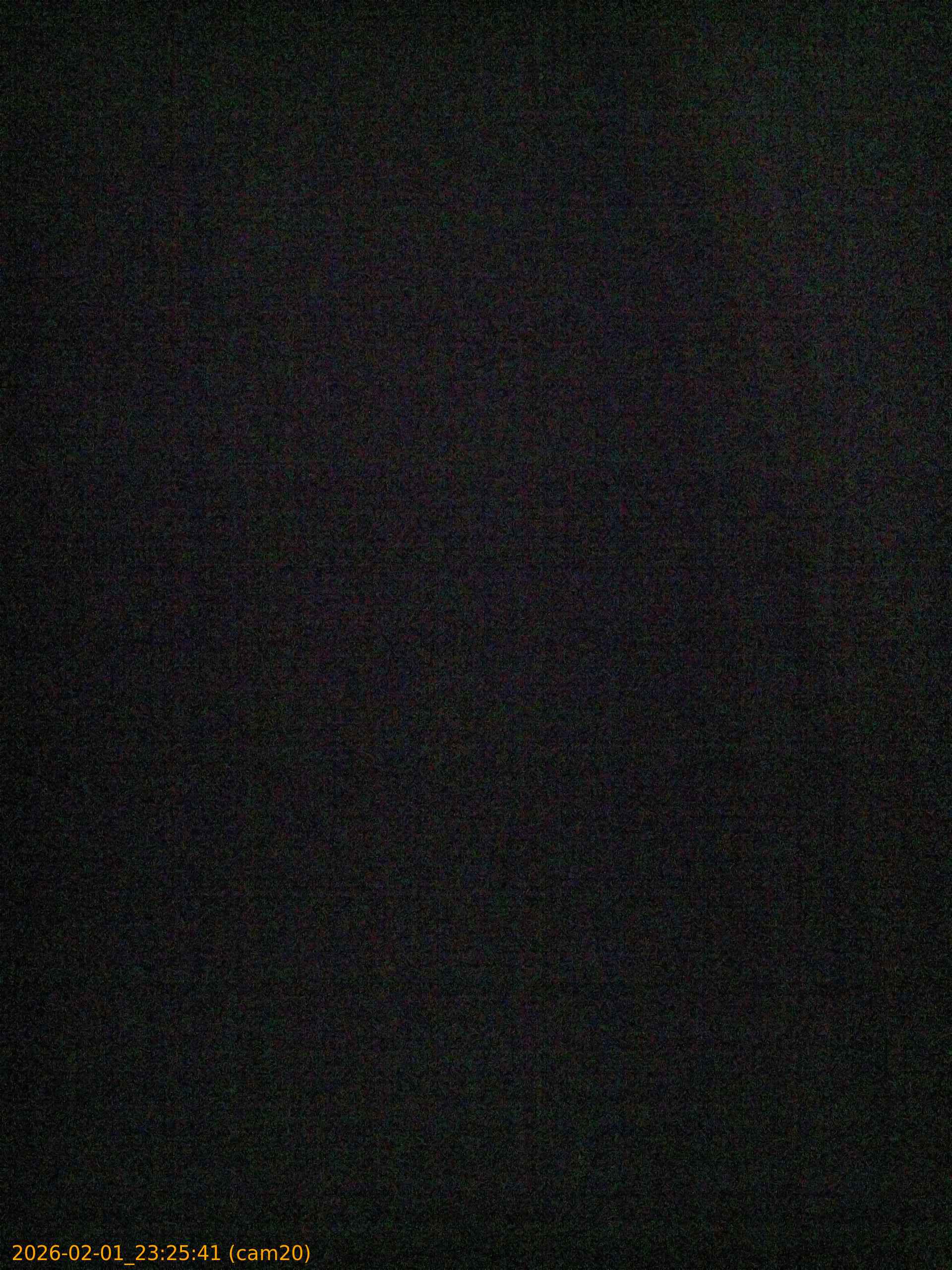 thumbnail_20260201232541