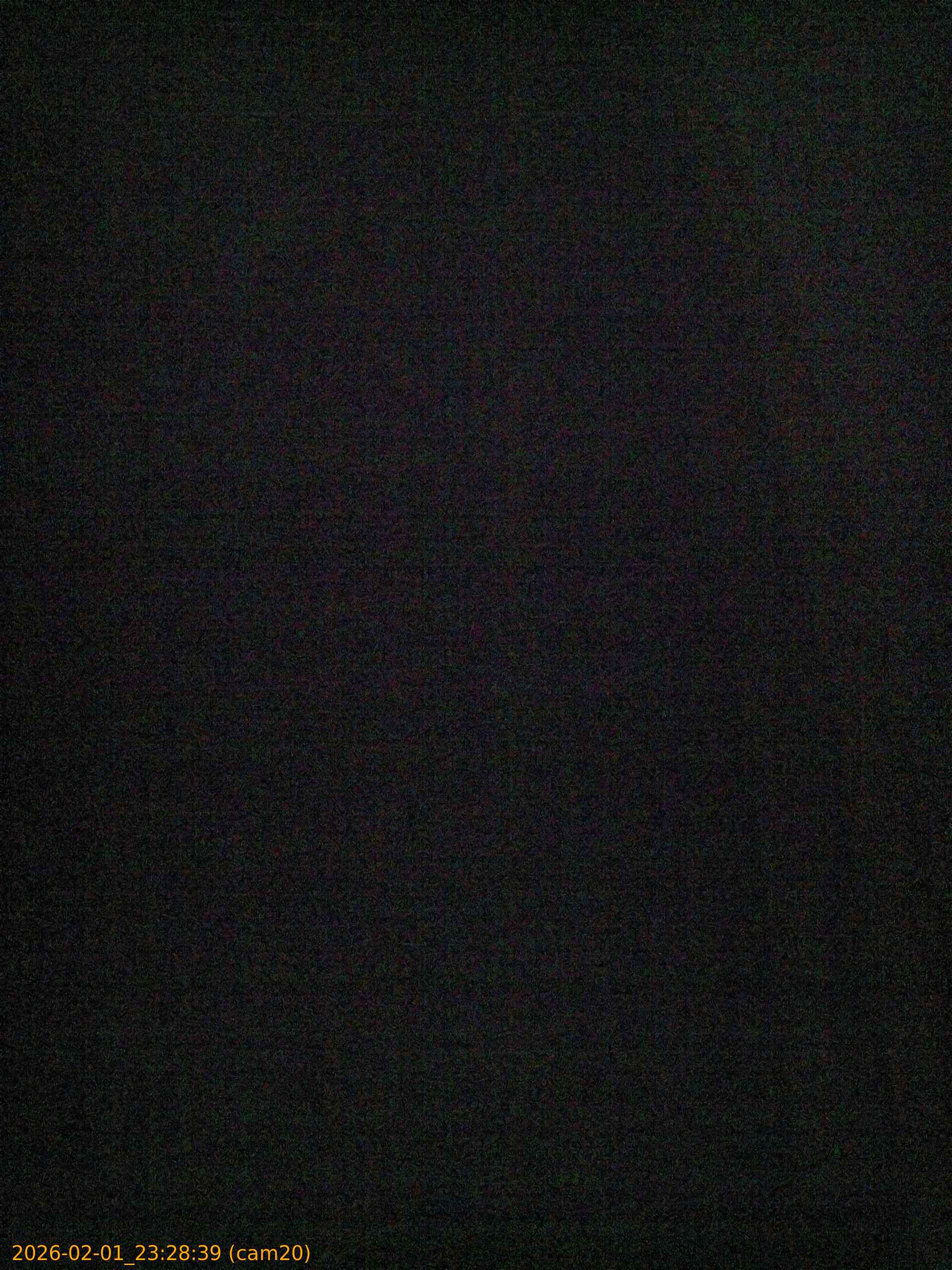 thumbnail_20260201232839