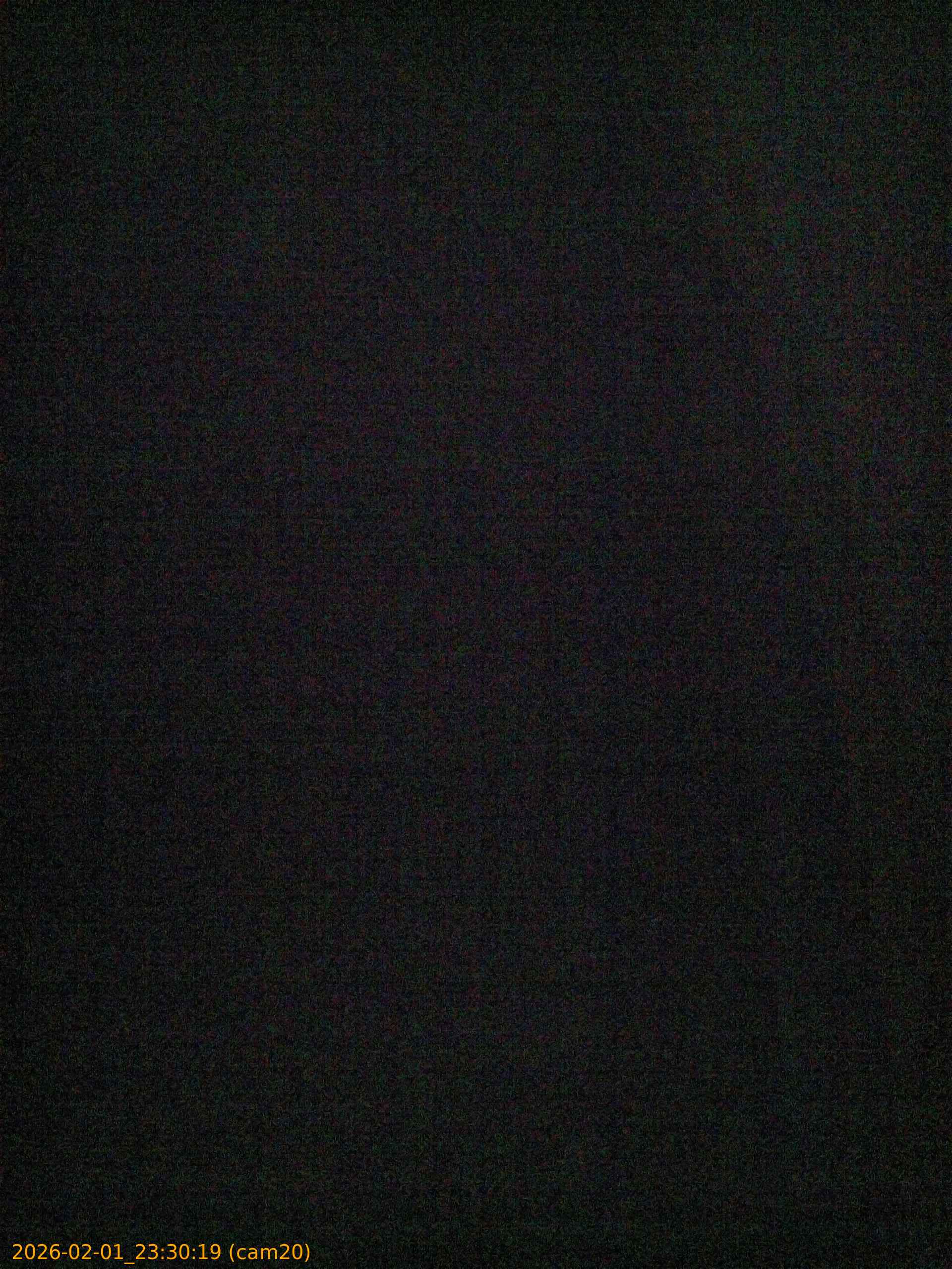 thumbnail_20260201233019