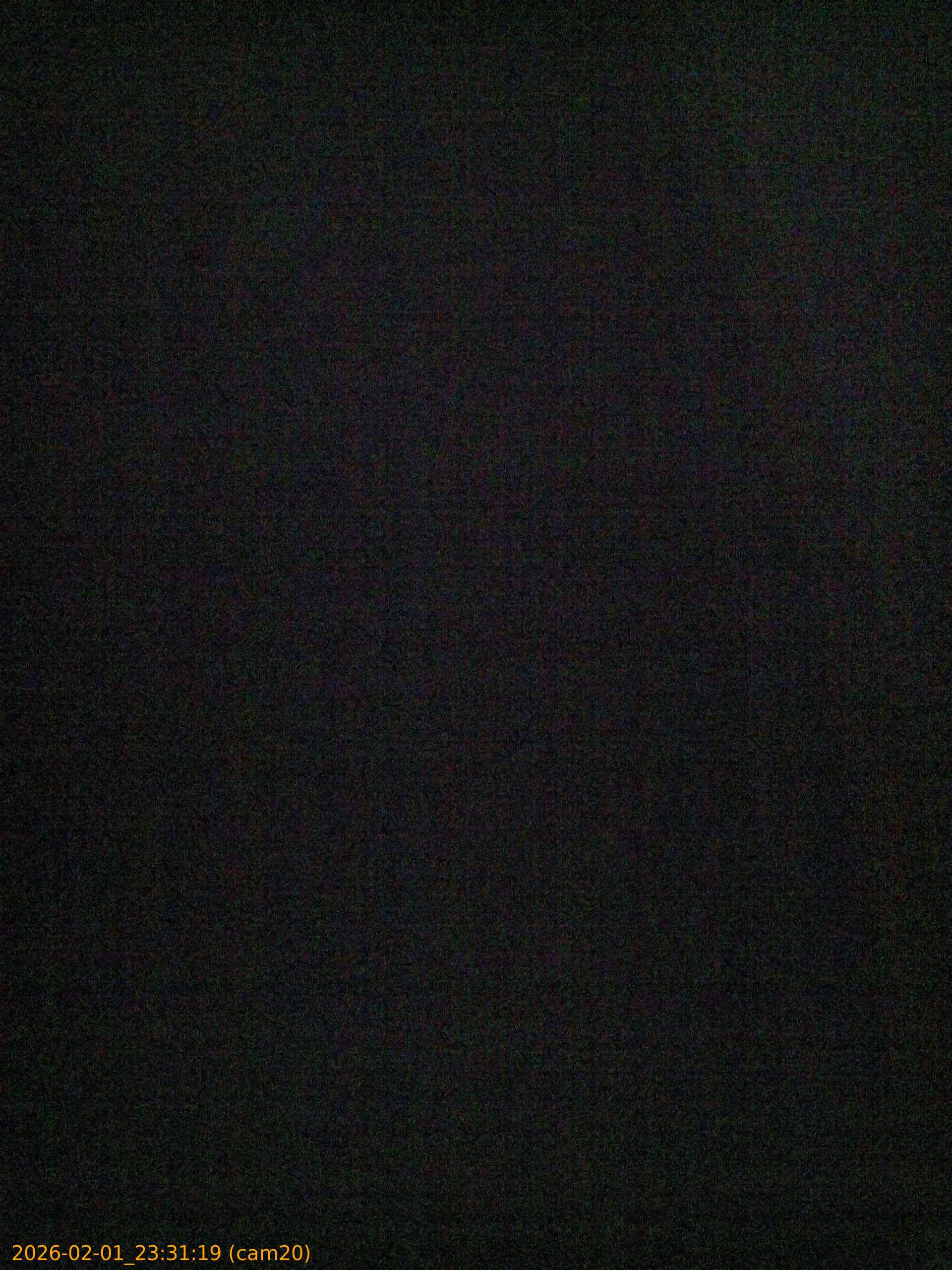 thumbnail_20260201233119