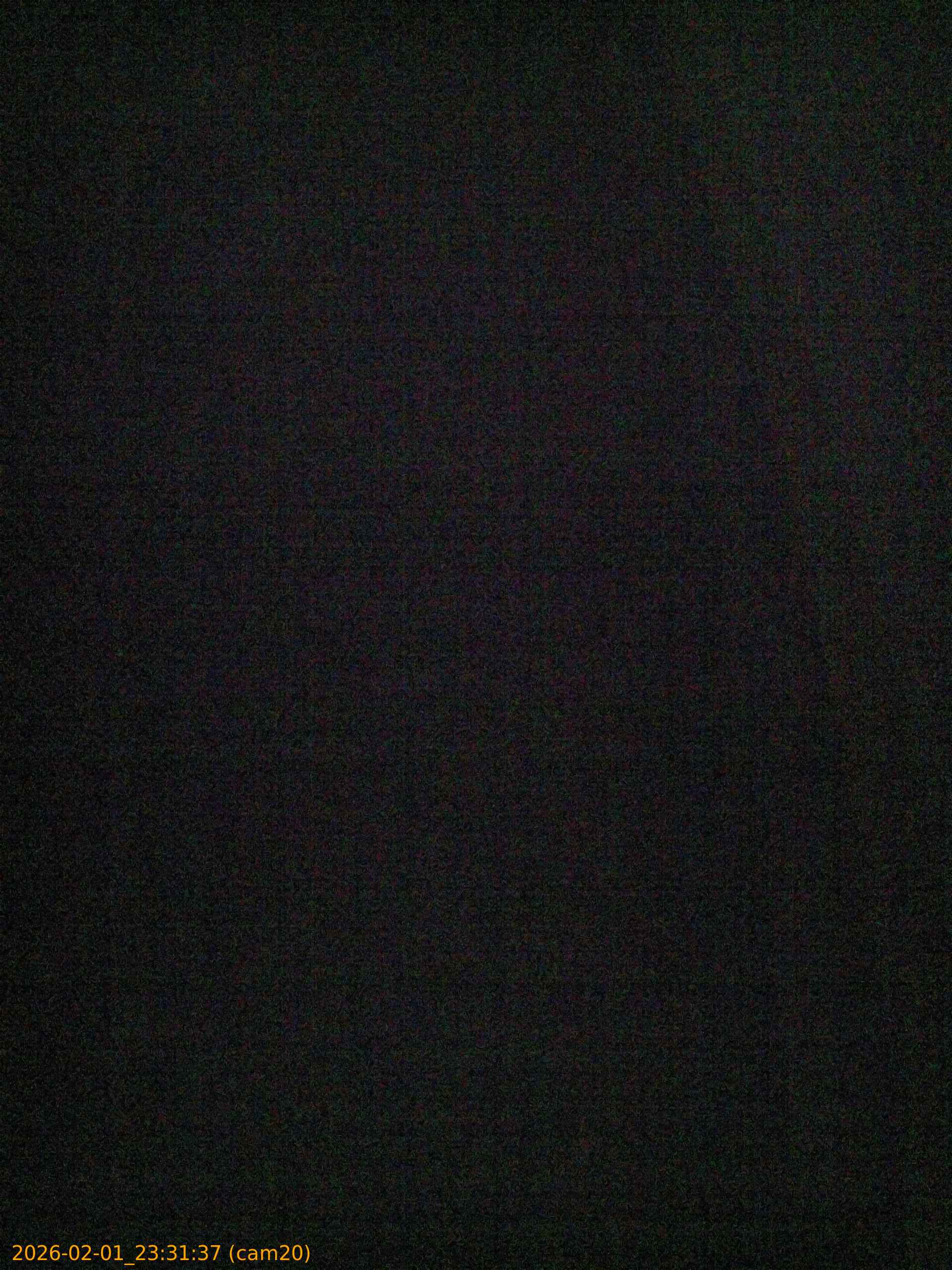 thumbnail_20260201233137