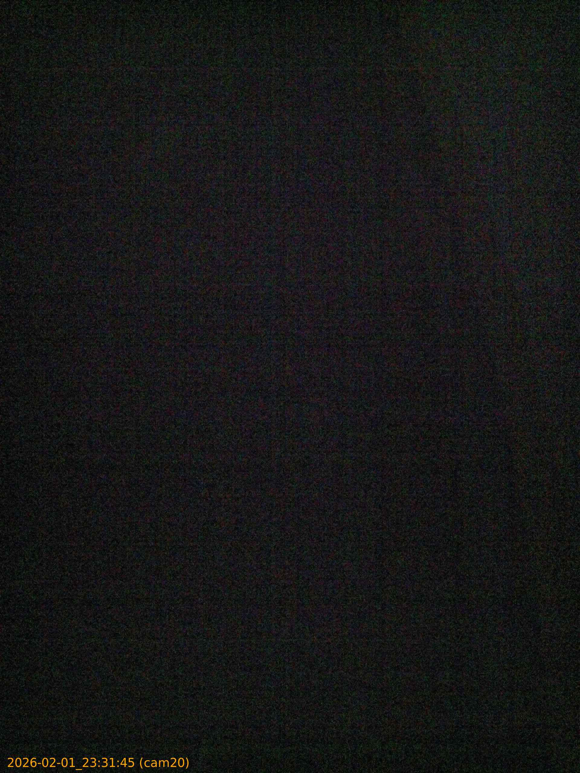 thumbnail_20260201233145