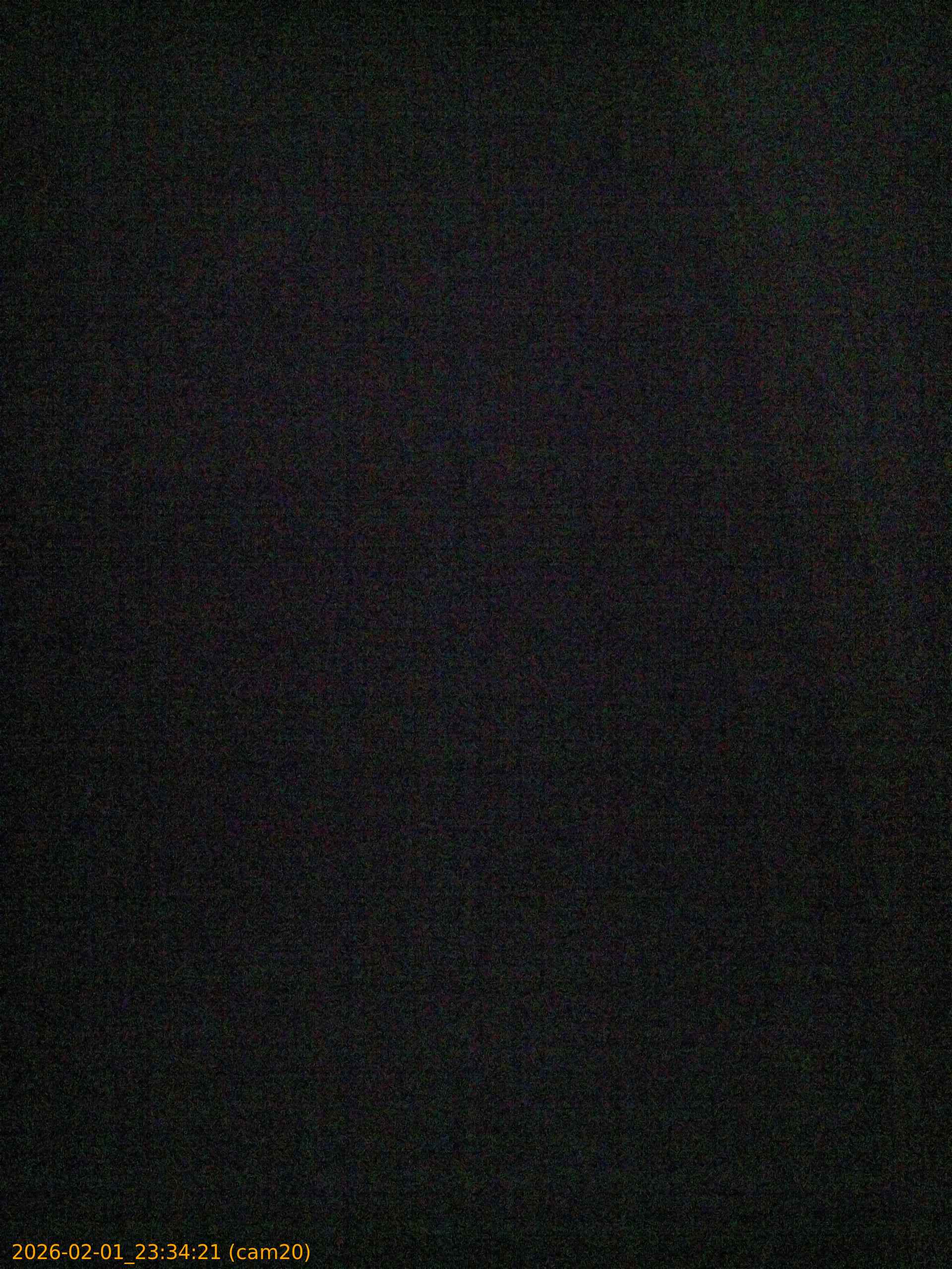 thumbnail_20260201233421