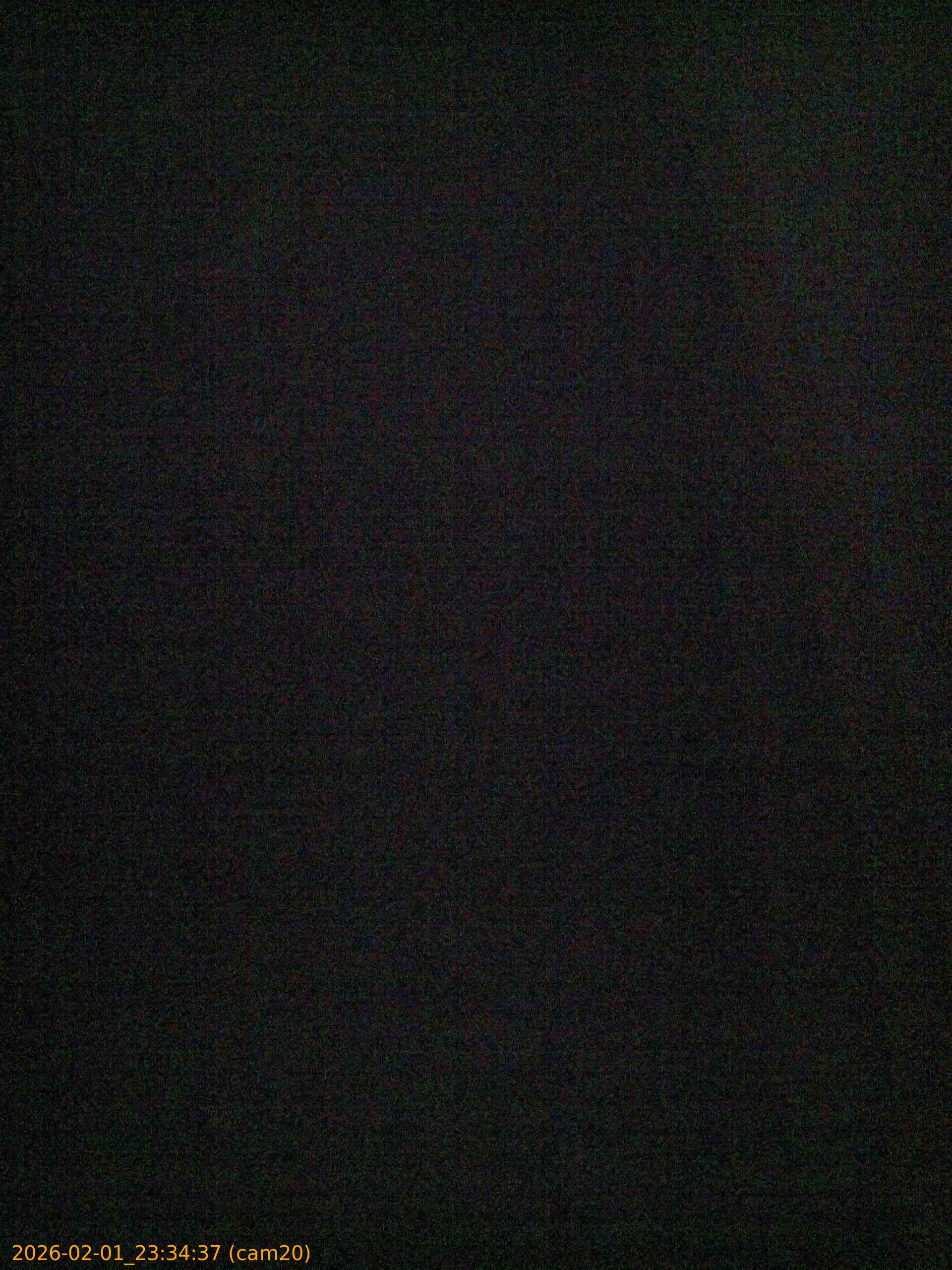 thumbnail_20260201233437