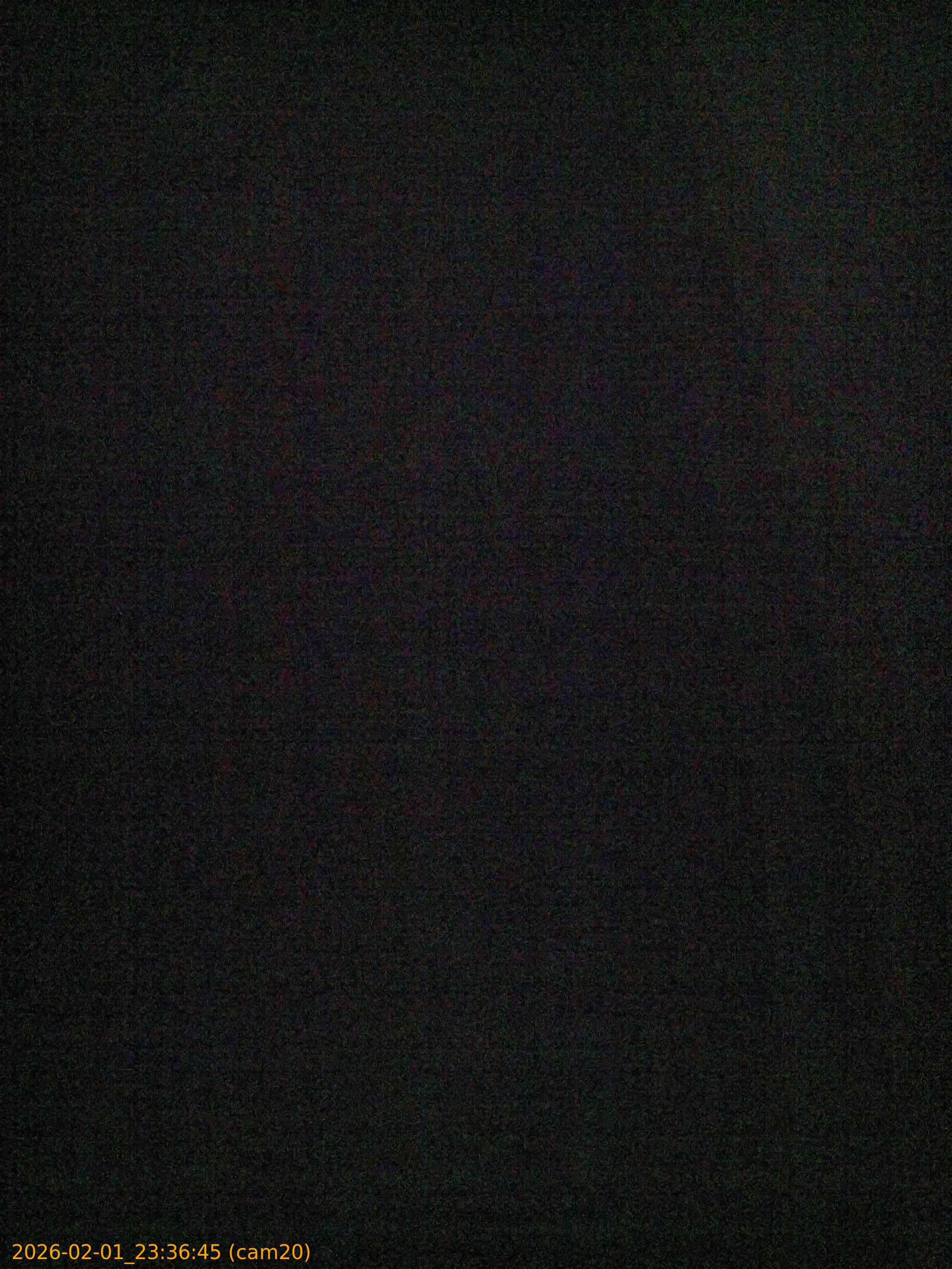 20260201233645