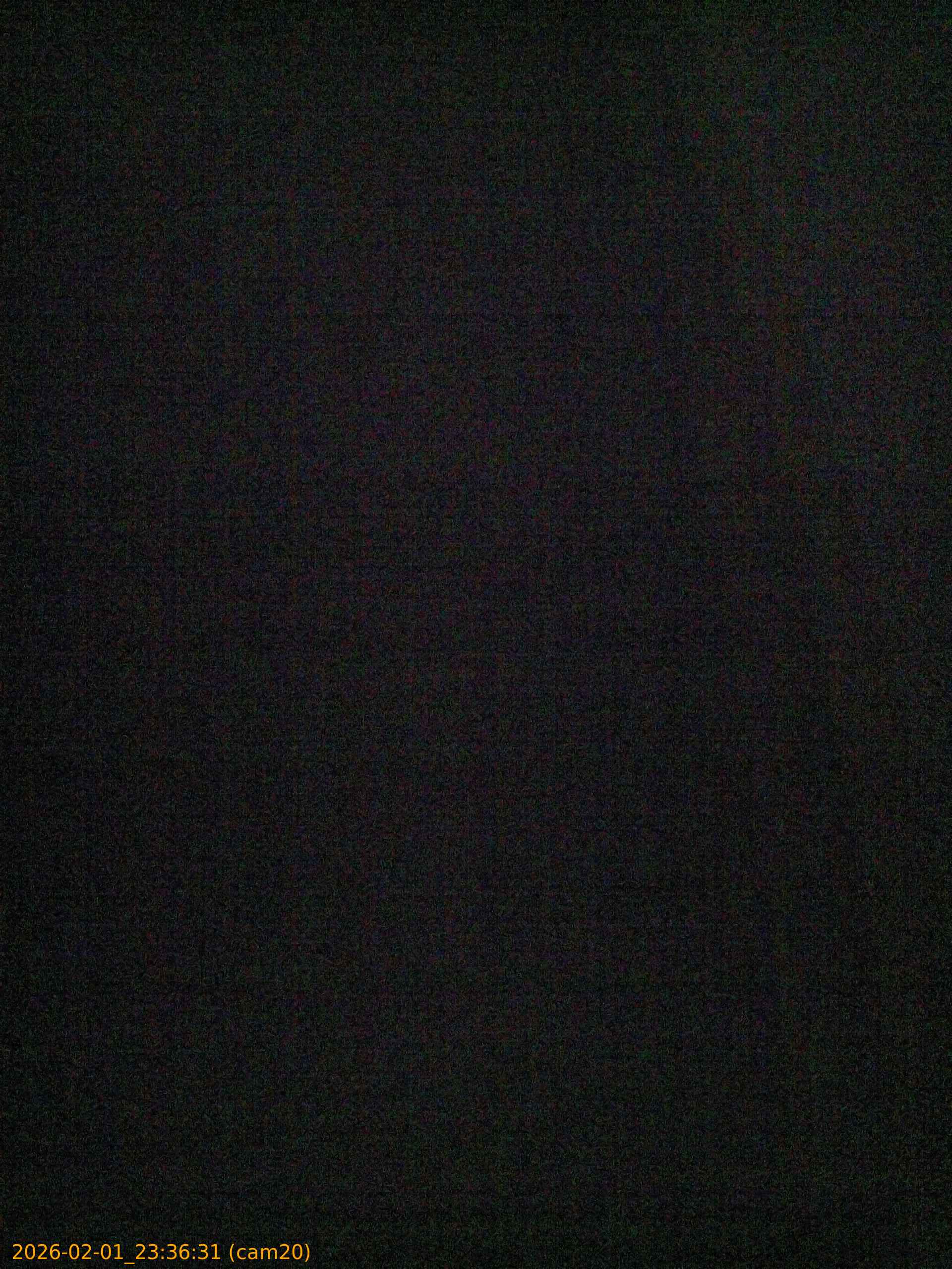 thumbnail_20260201233631