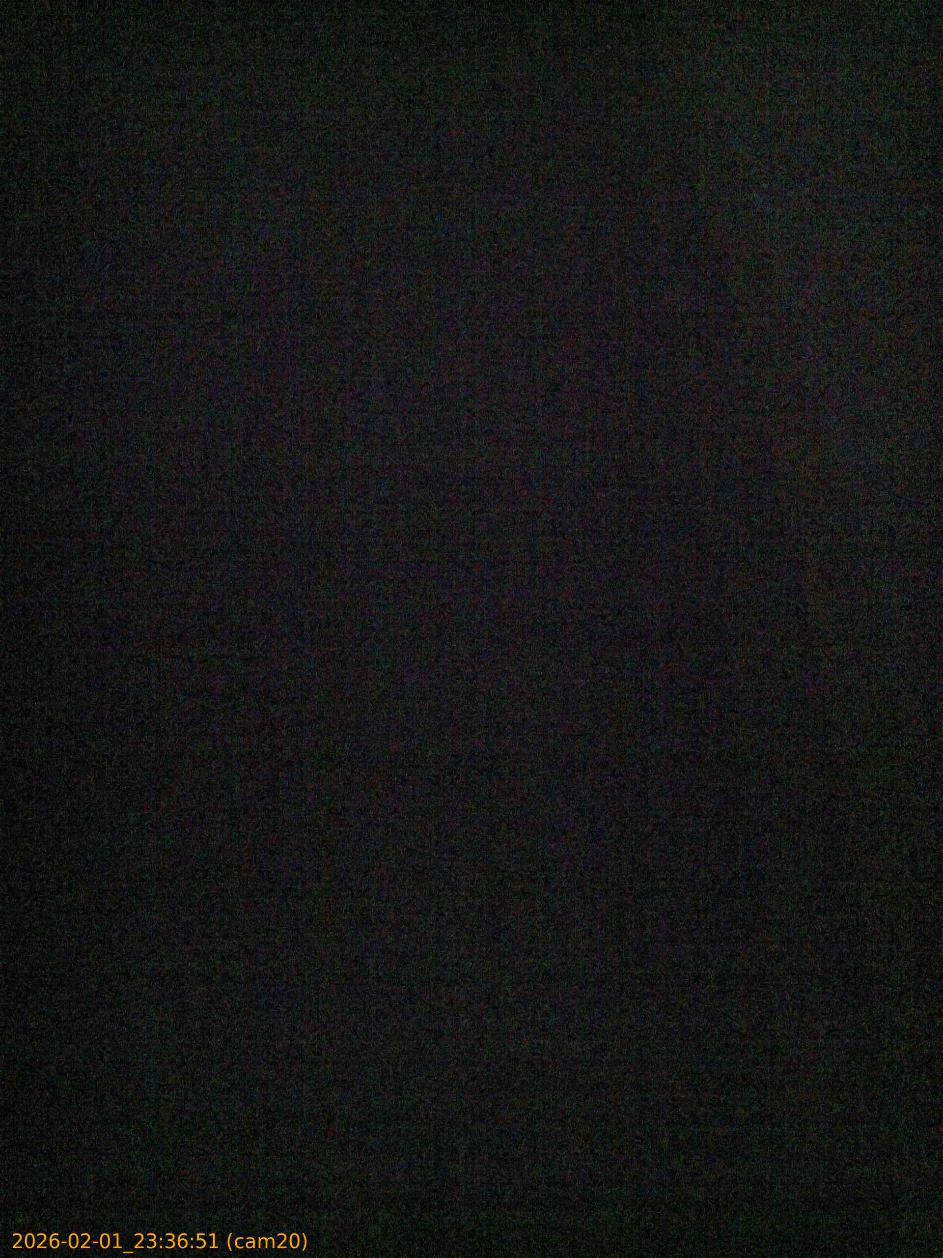 thumbnail_20260201233651