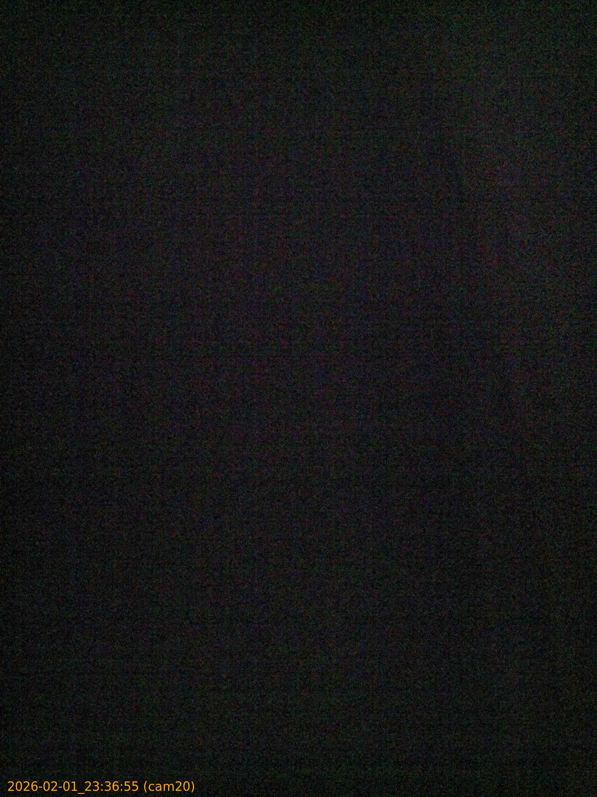 thumbnail_20260201233655