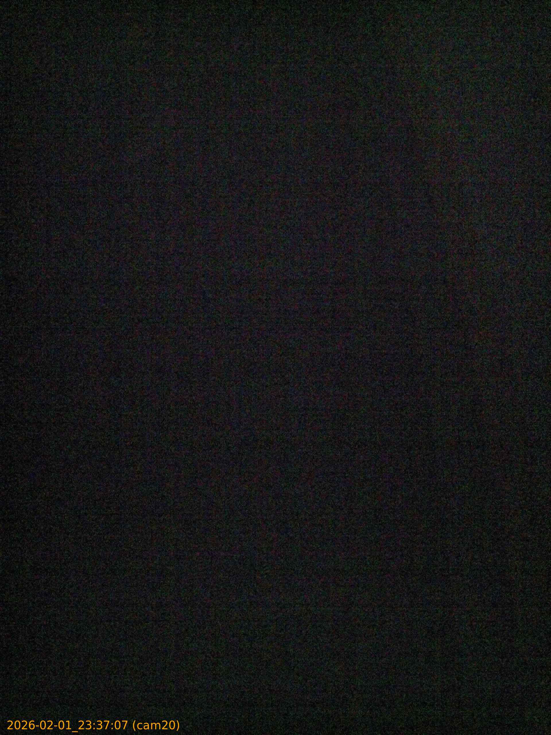 thumbnail_20260201233707