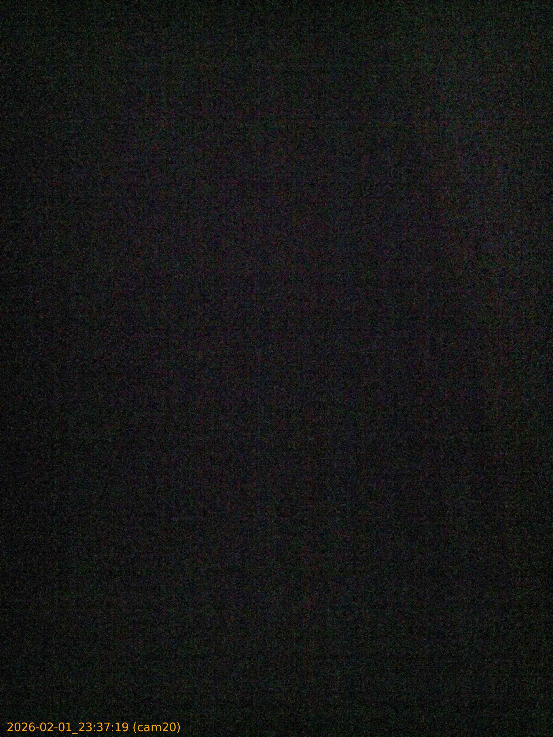 thumbnail_20260201233719