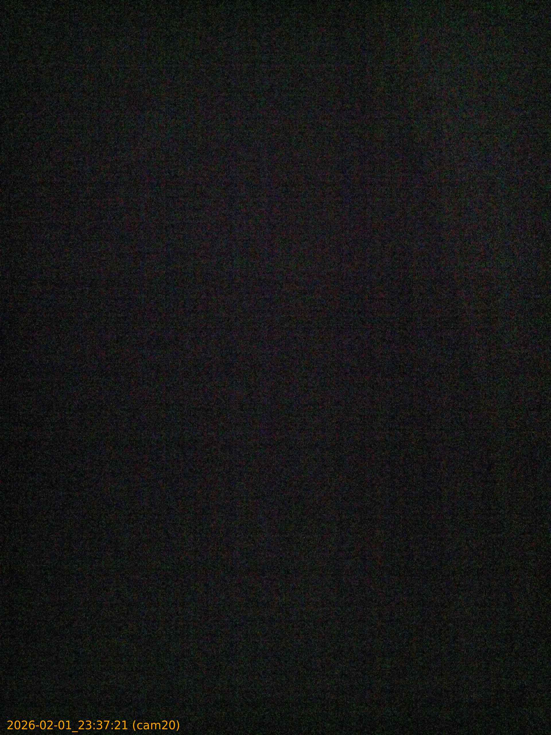 thumbnail_20260201233721