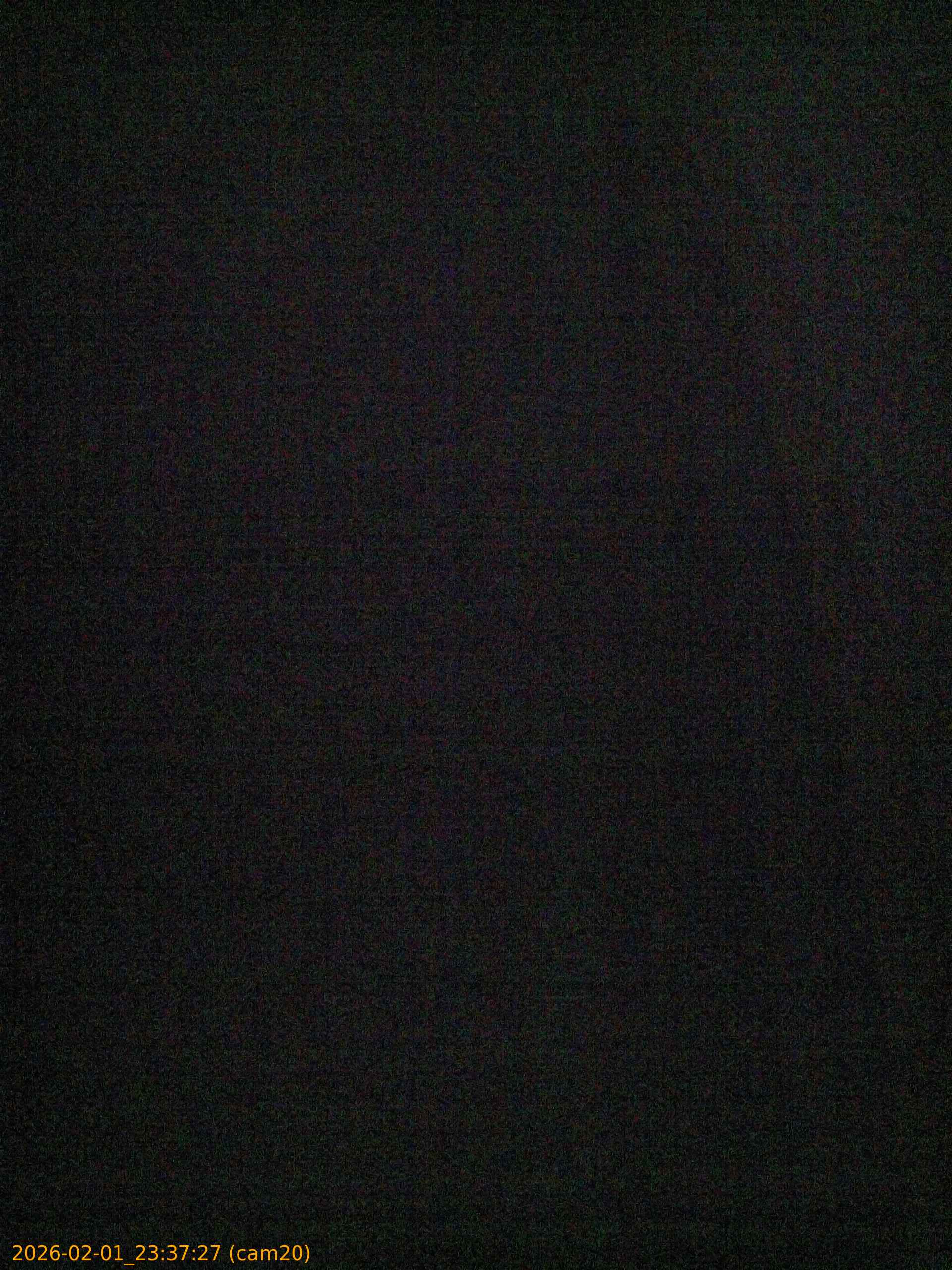 thumbnail_20260201233727