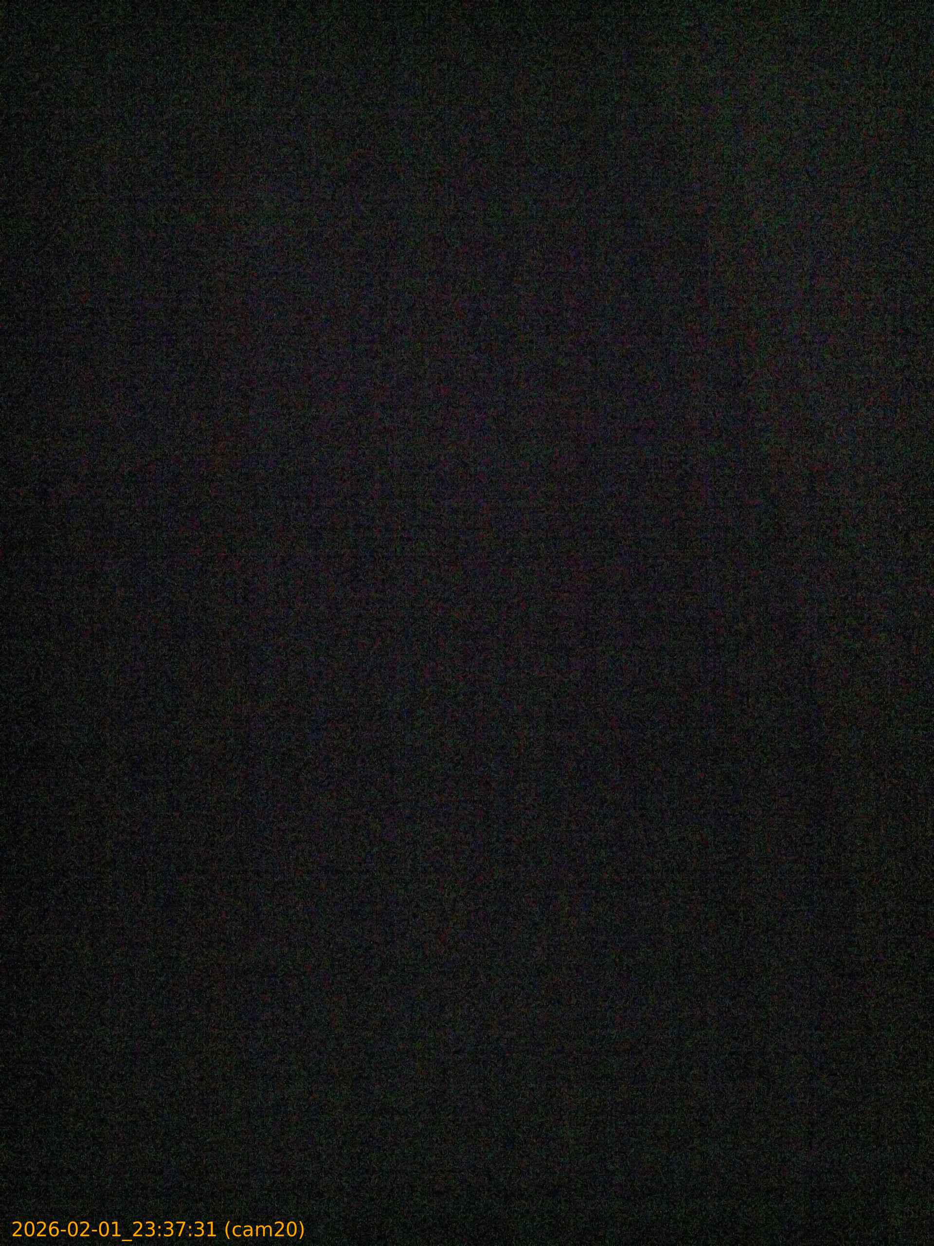 thumbnail_20260201233731