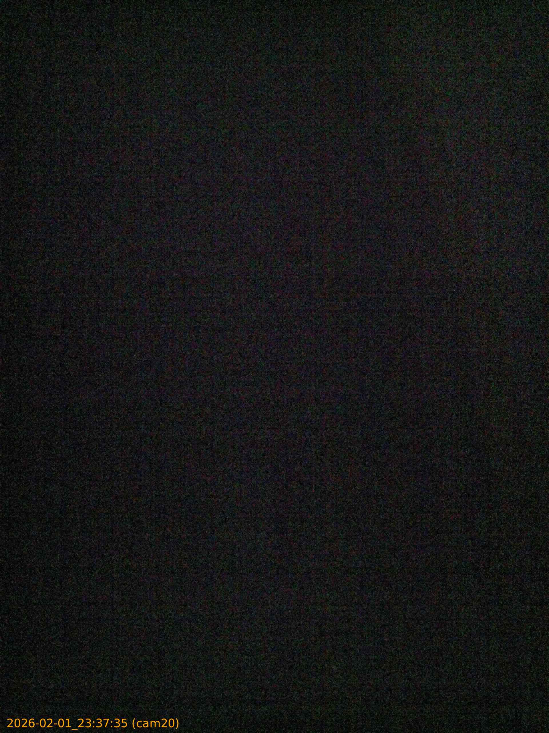 thumbnail_20260201233735