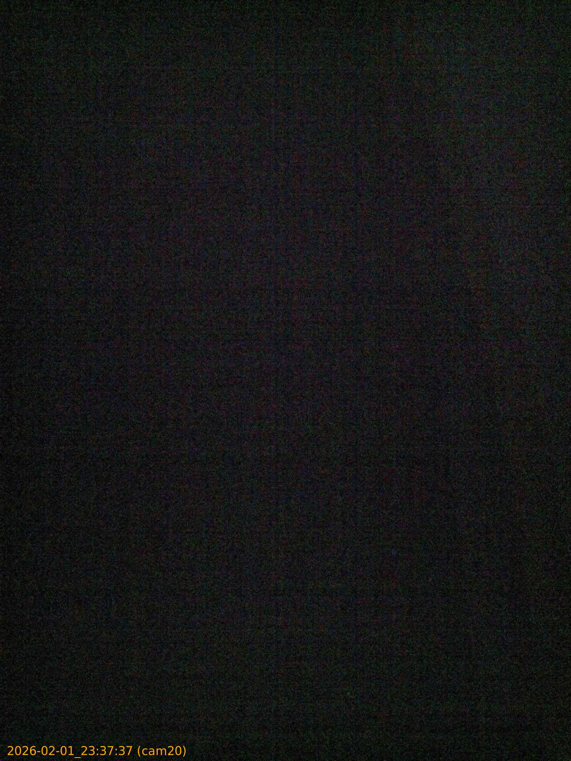 thumbnail_20260201233737