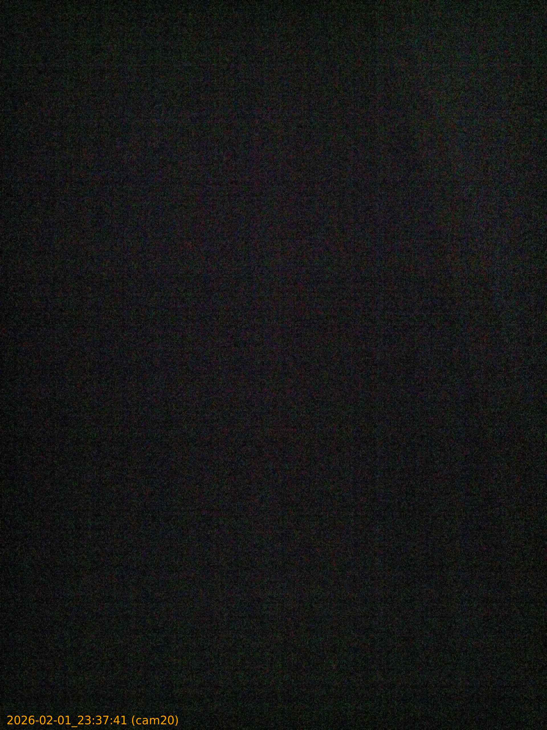 thumbnail_20260201233741