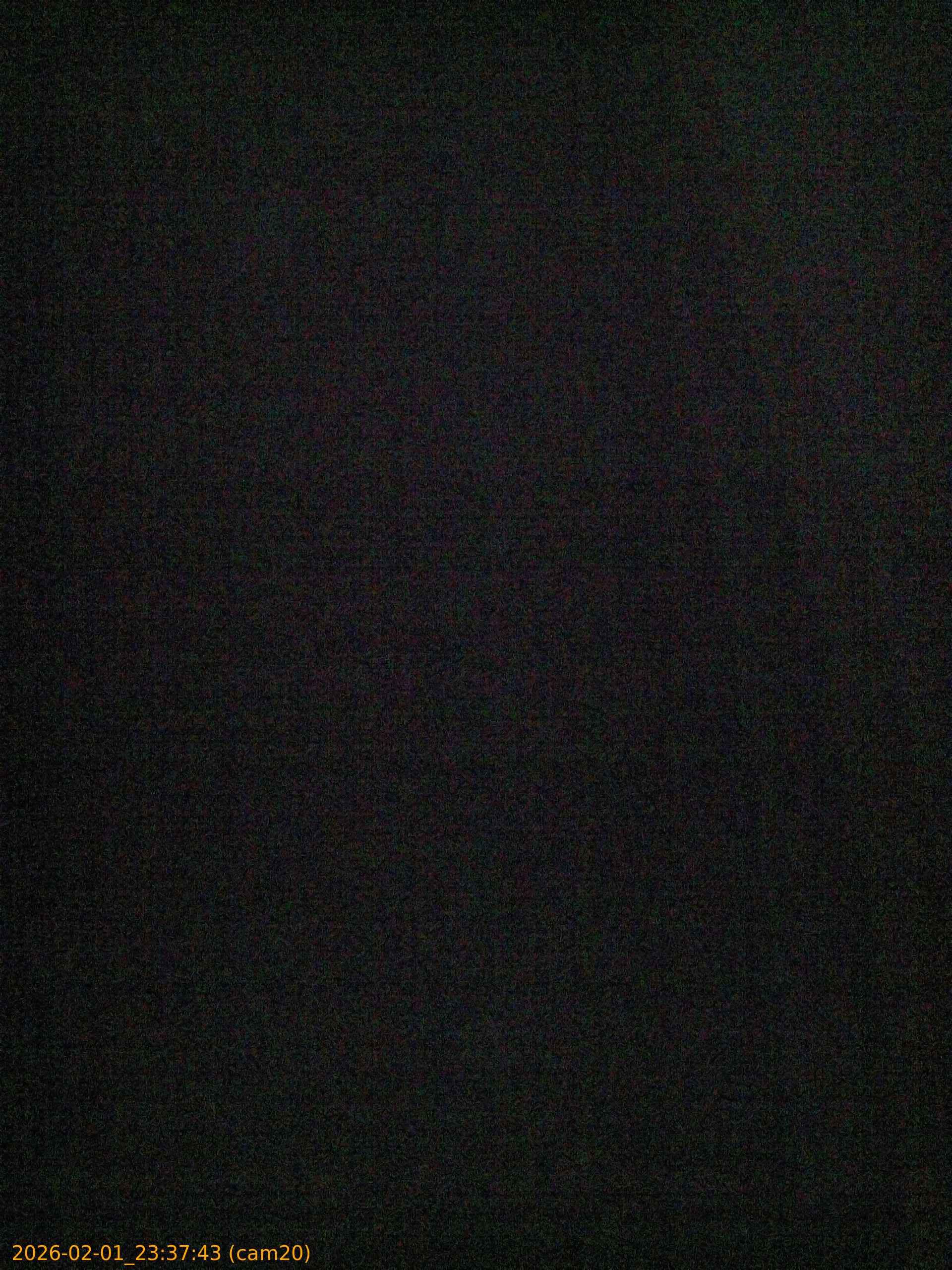 thumbnail_20260201233743