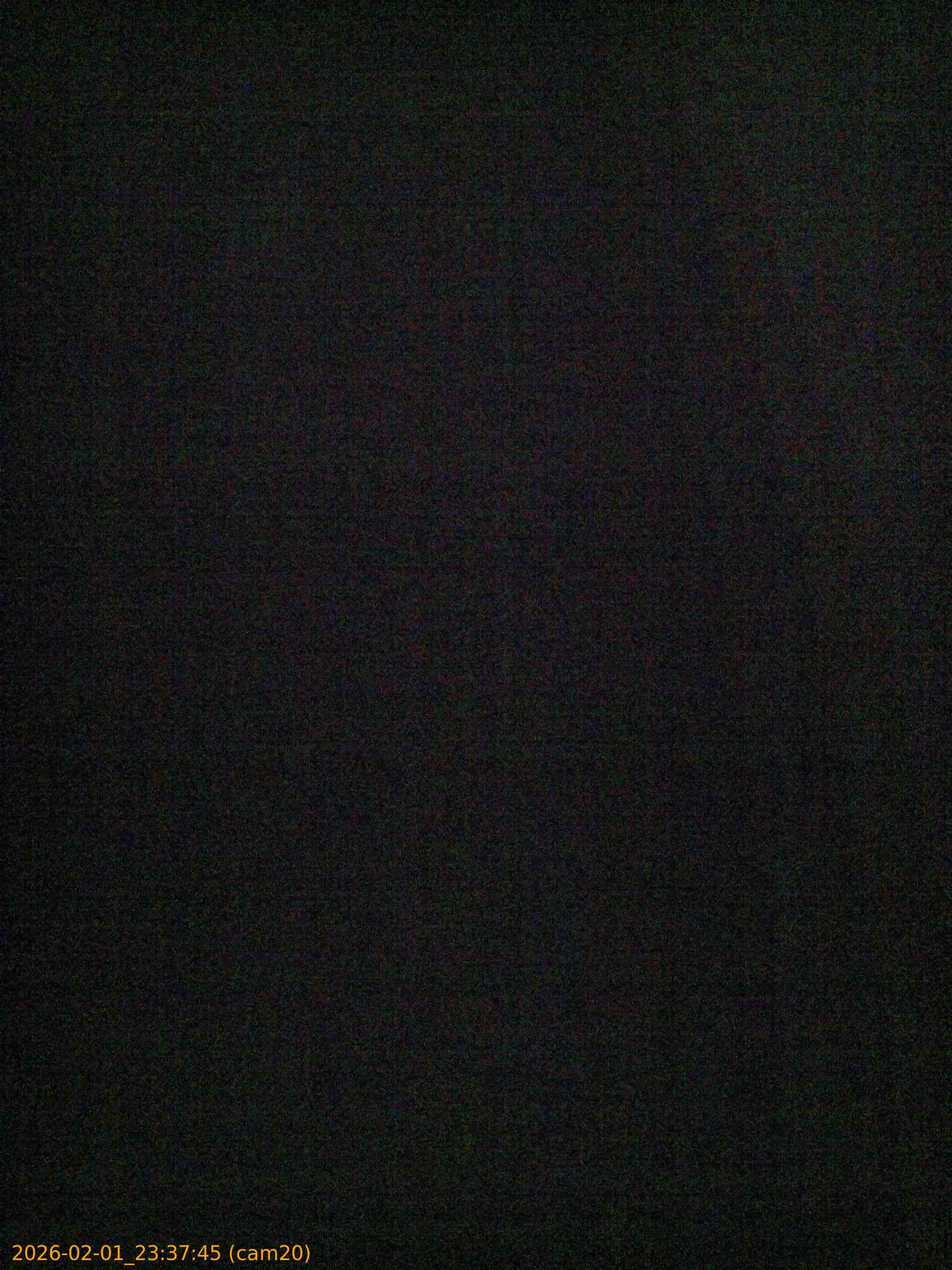 thumbnail_20260201233745