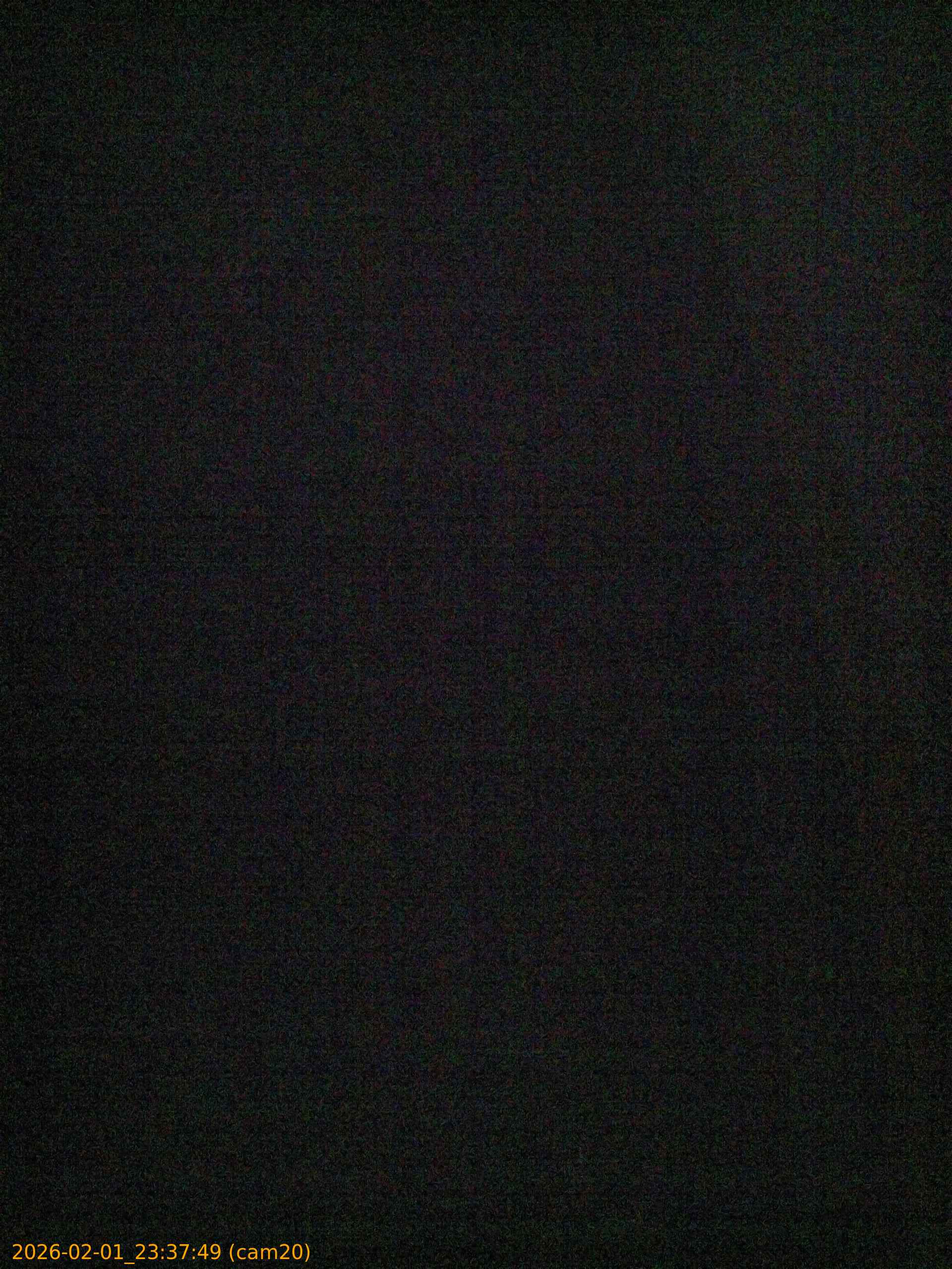 thumbnail_20260201233749