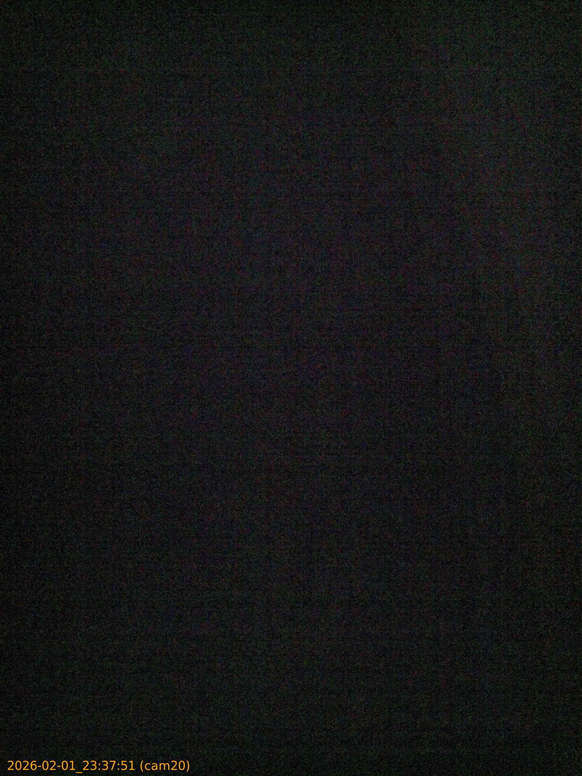 thumbnail_20260201233751