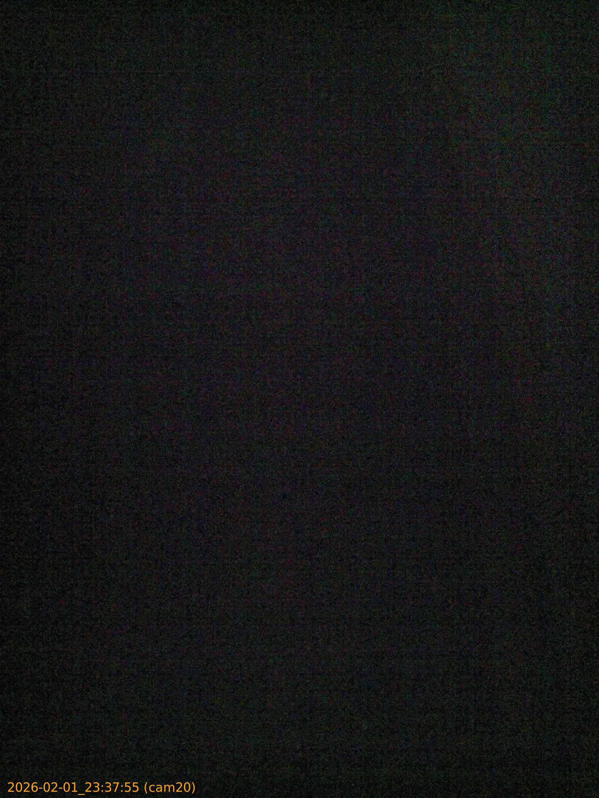 thumbnail_20260201233755