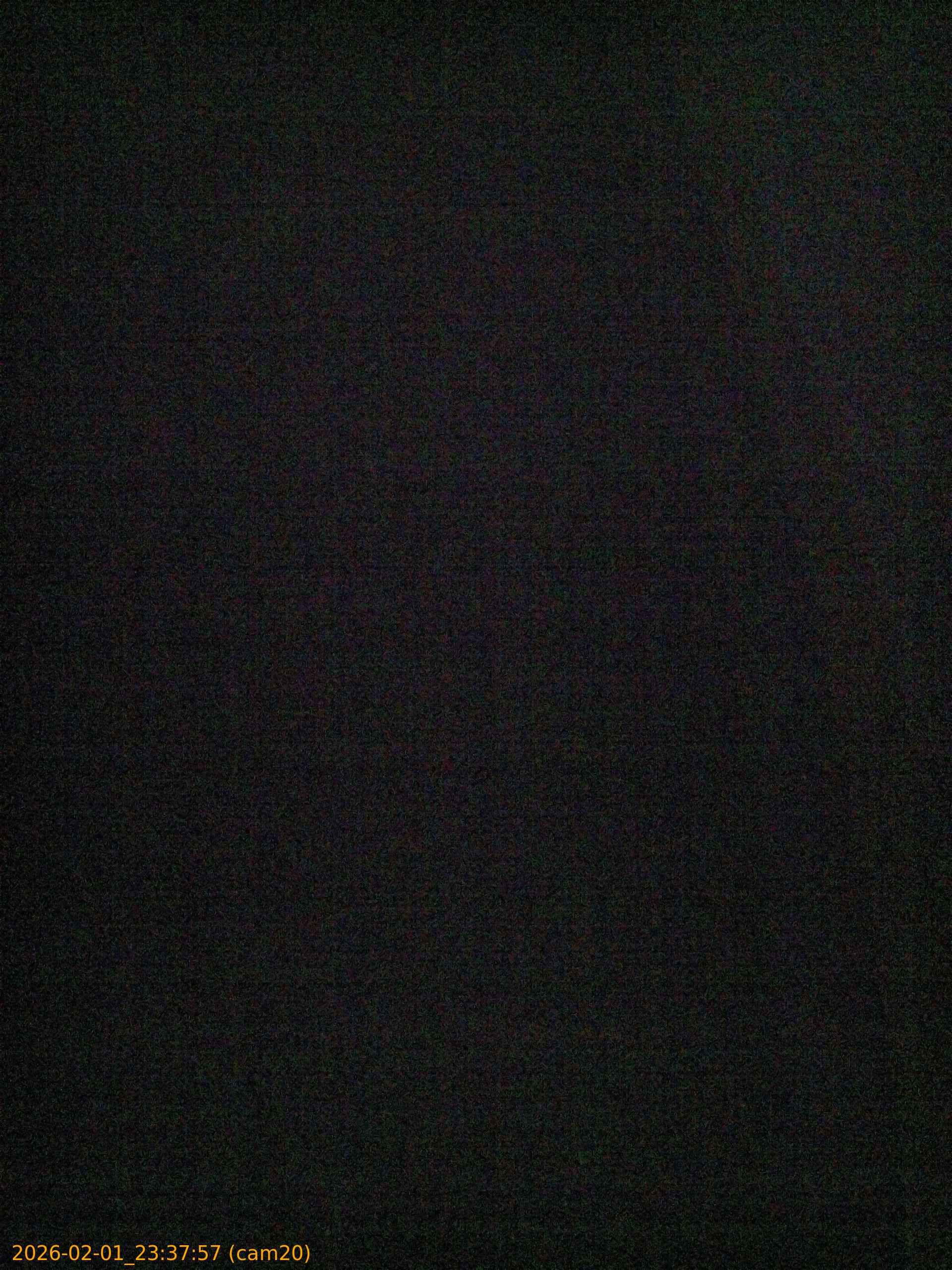 thumbnail_20260201233757