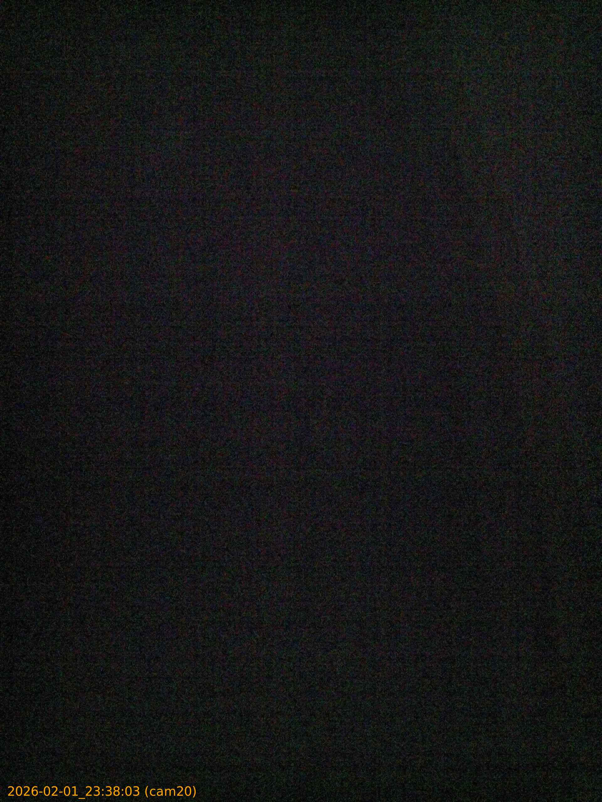 thumbnail_20260201233803