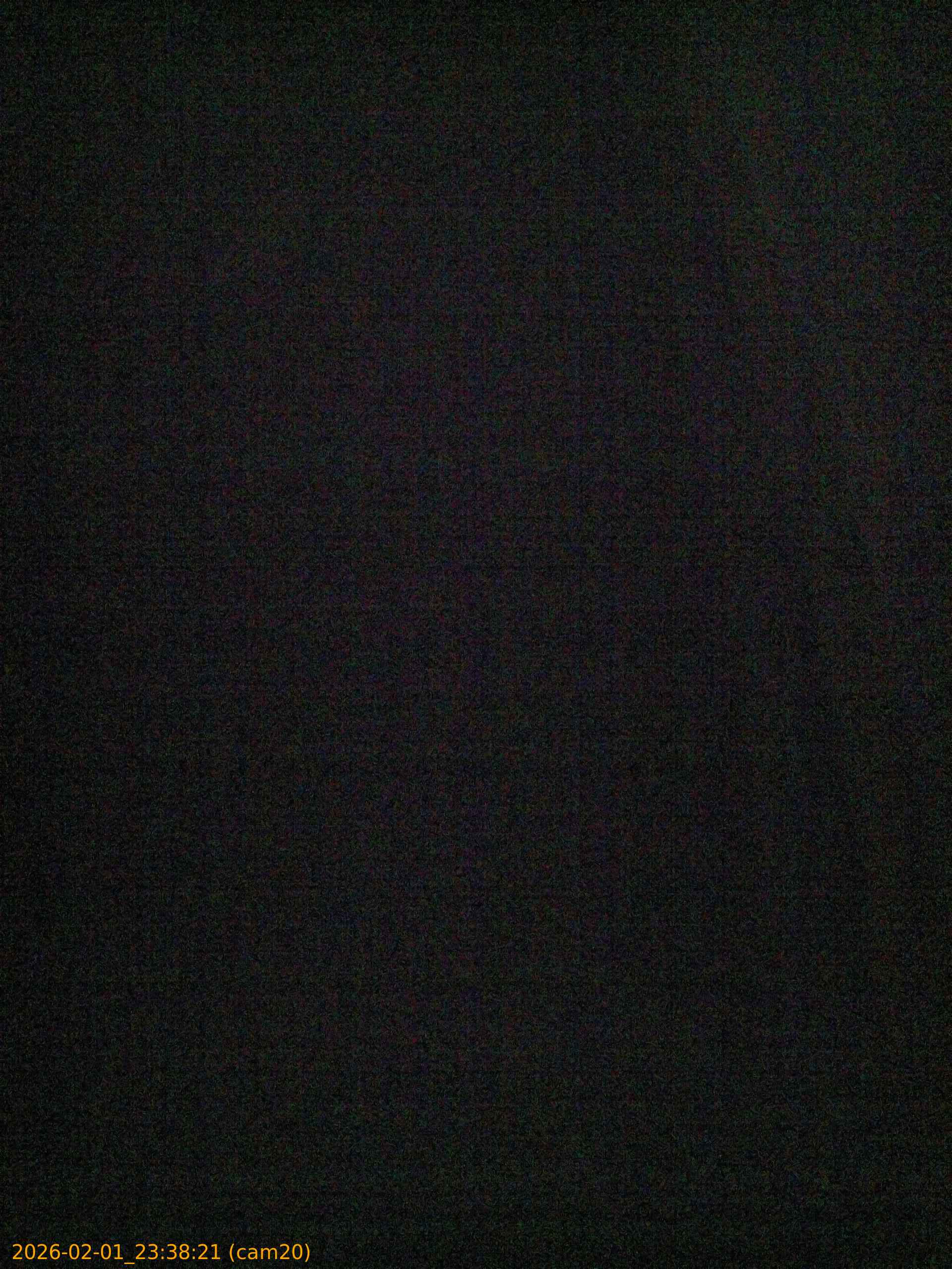 thumbnail_20260201233821