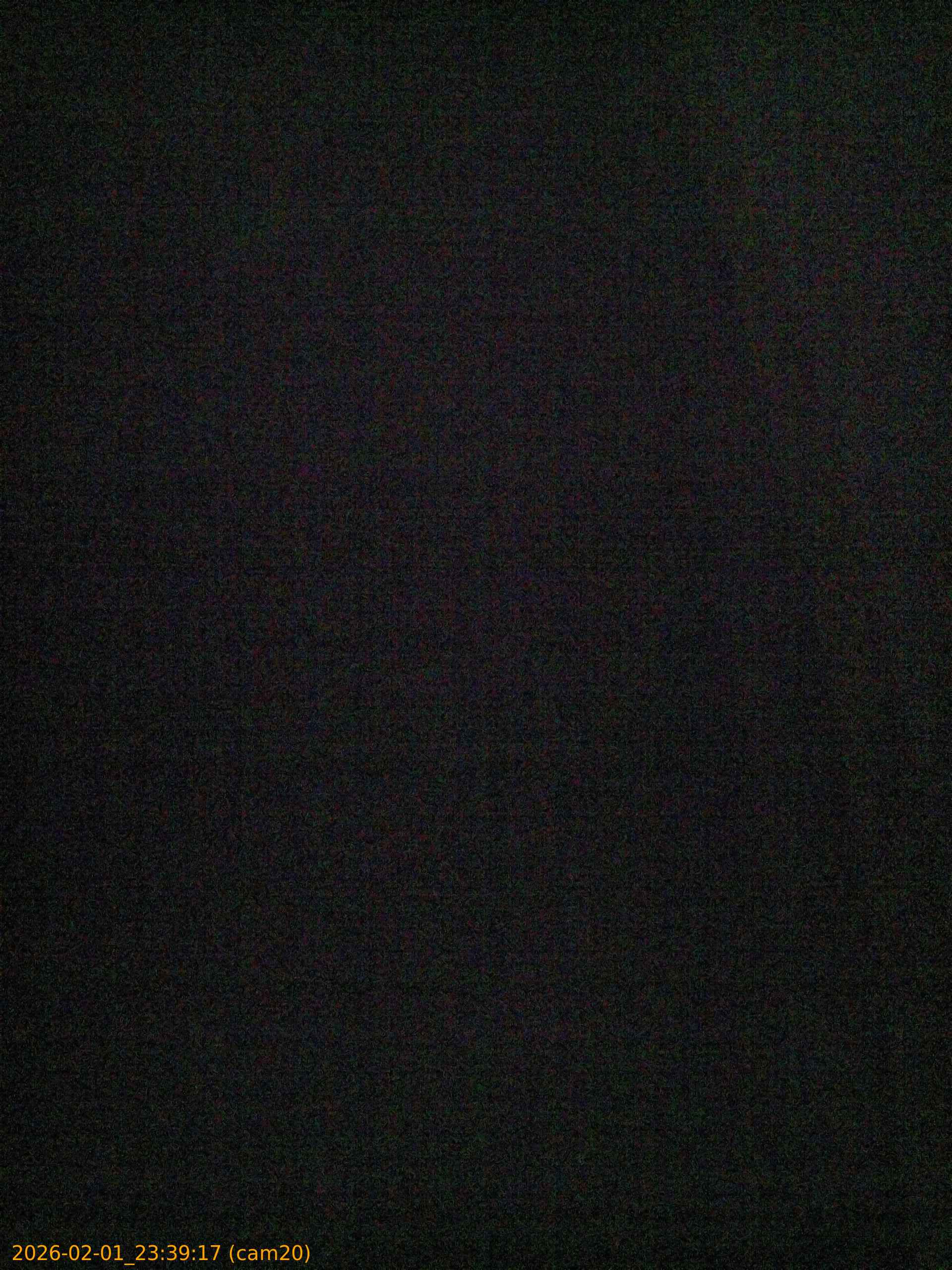 20260201233917