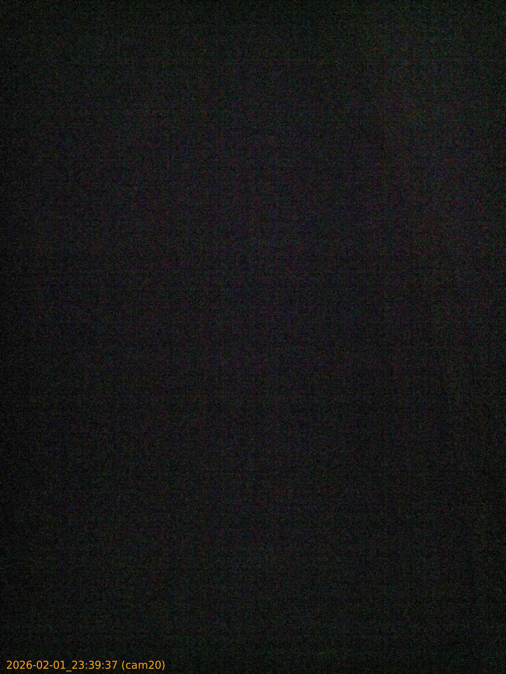 20260201233937