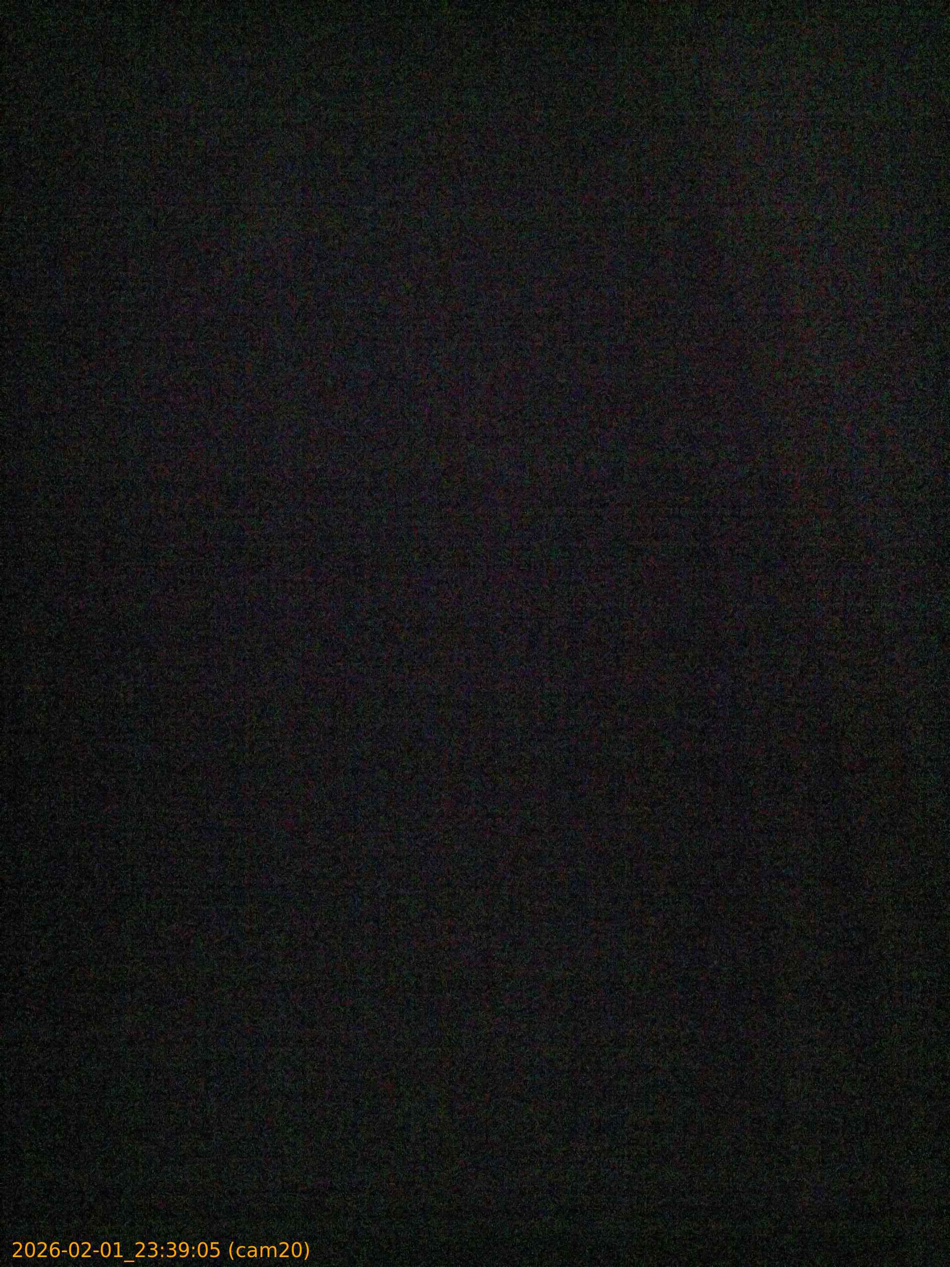 thumbnail_20260201233905