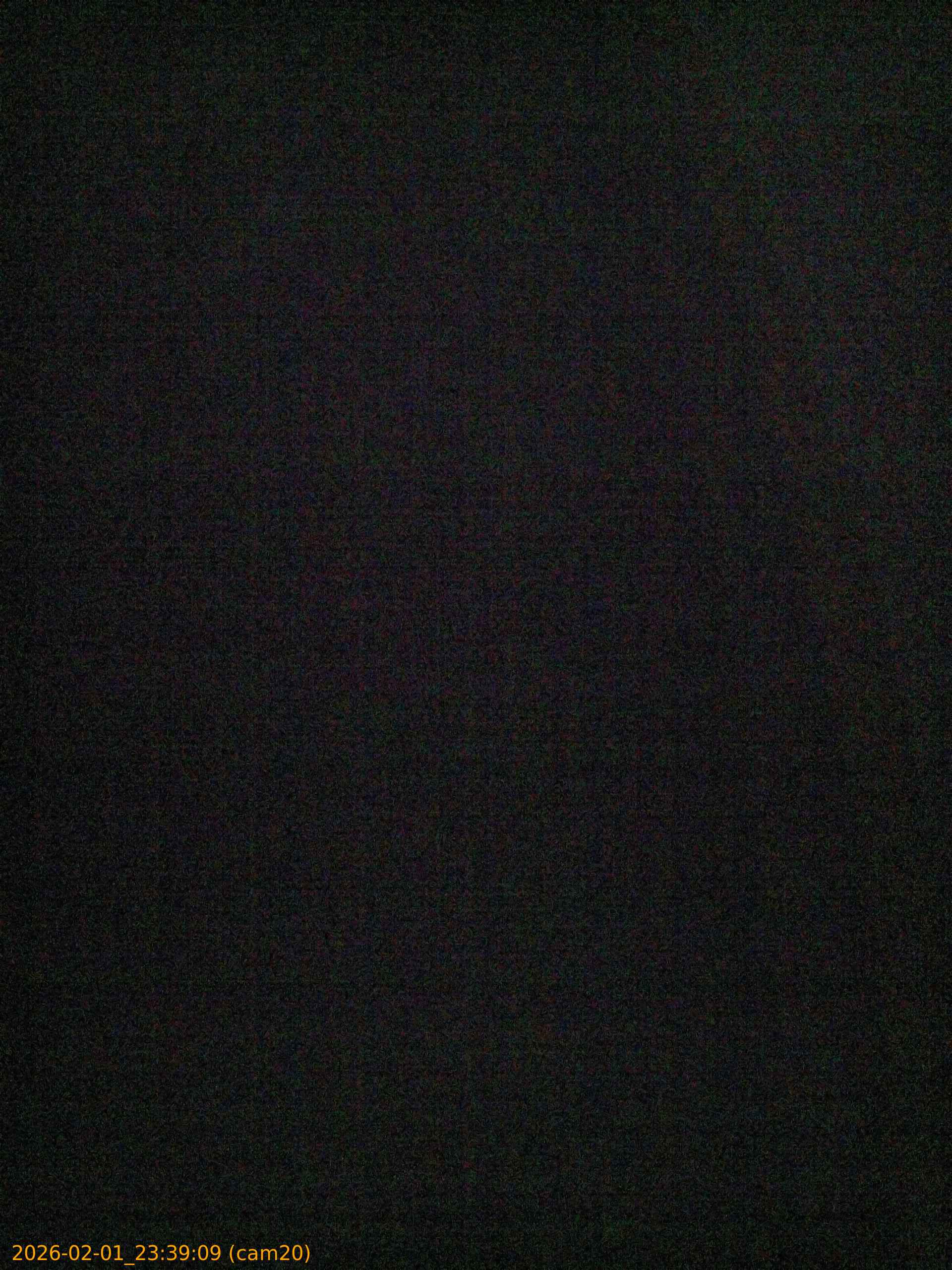 thumbnail_20260201233909