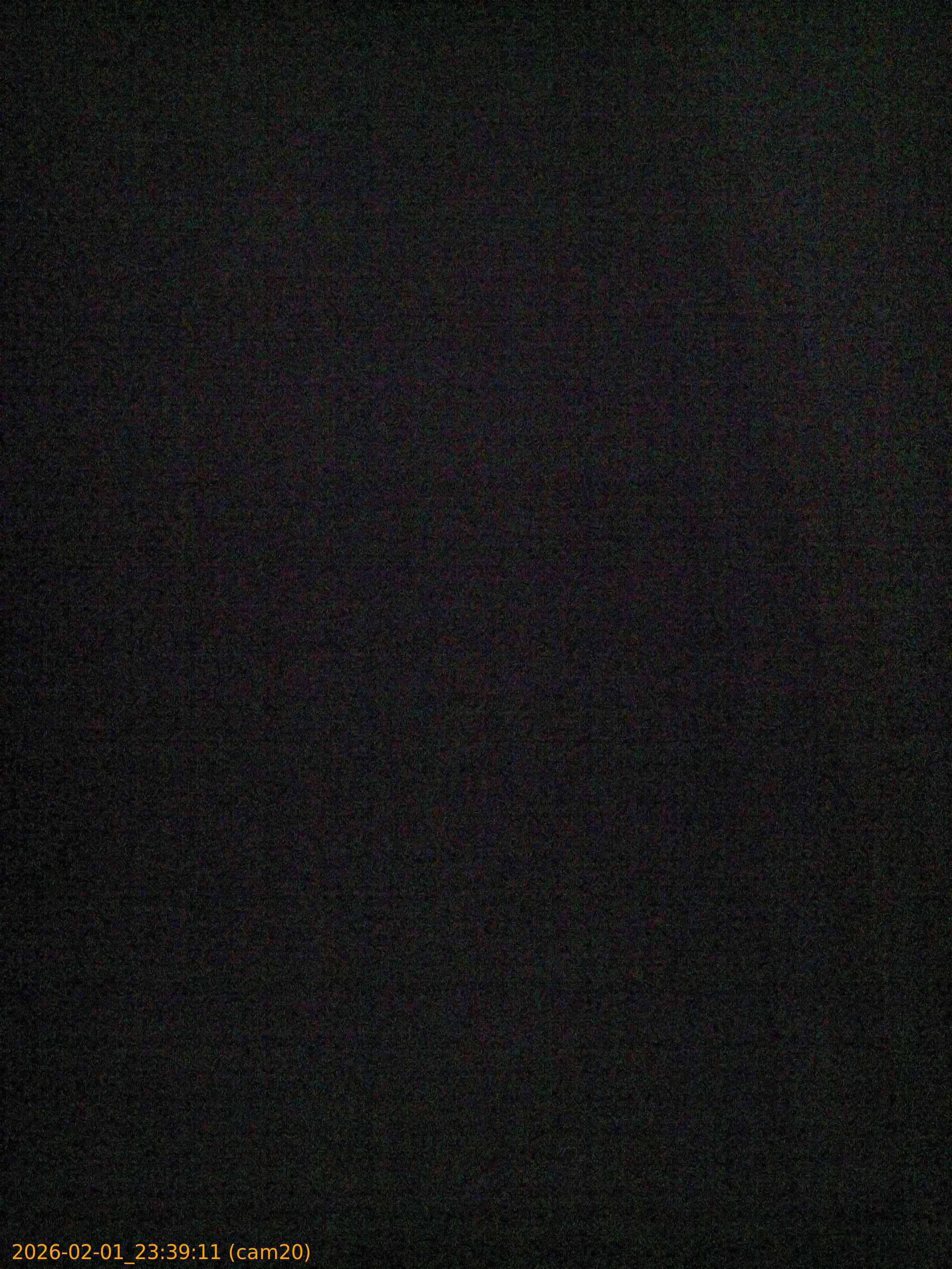 thumbnail_20260201233911