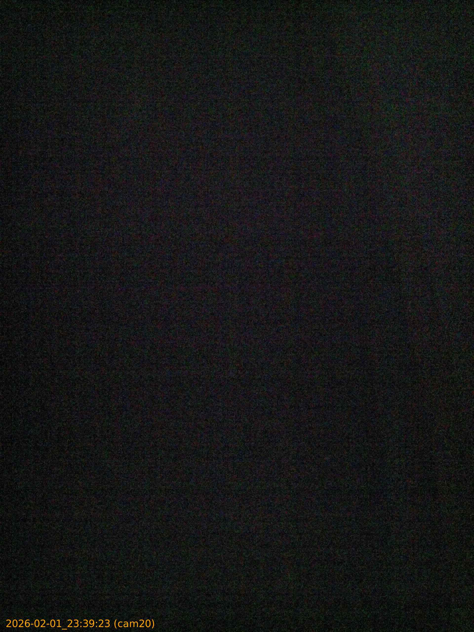 thumbnail_20260201233923