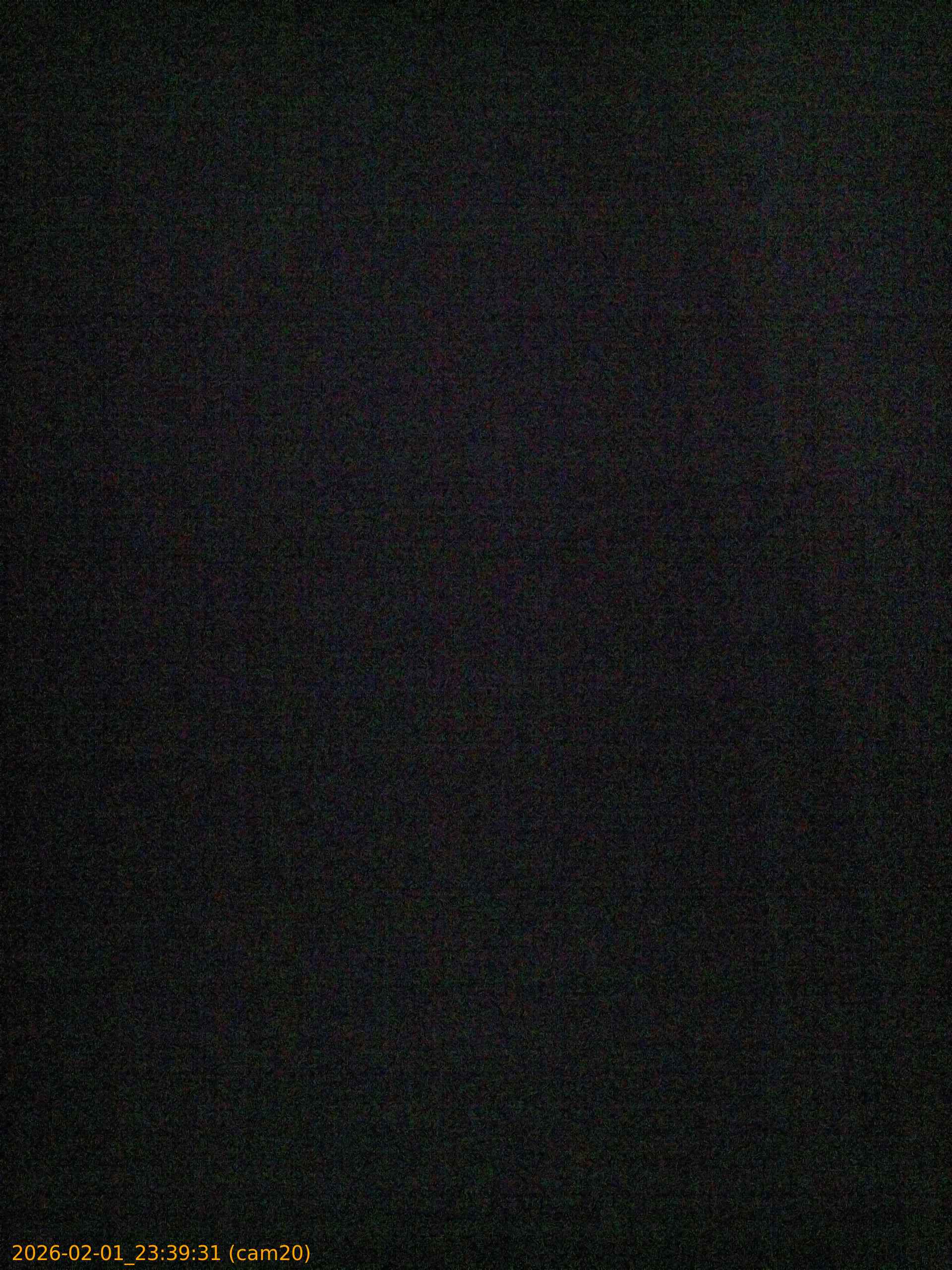 thumbnail_20260201233931