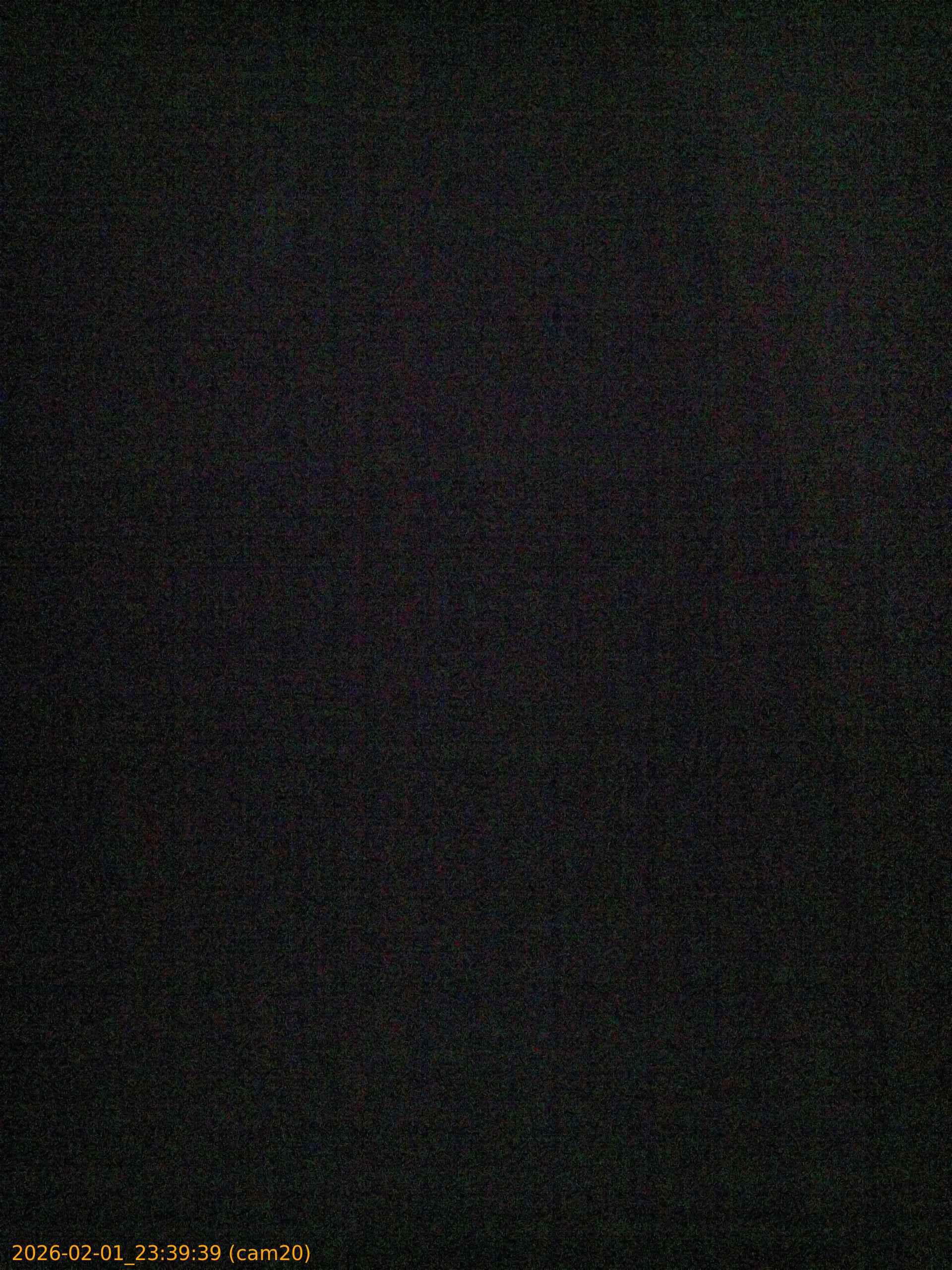 thumbnail_20260201233939