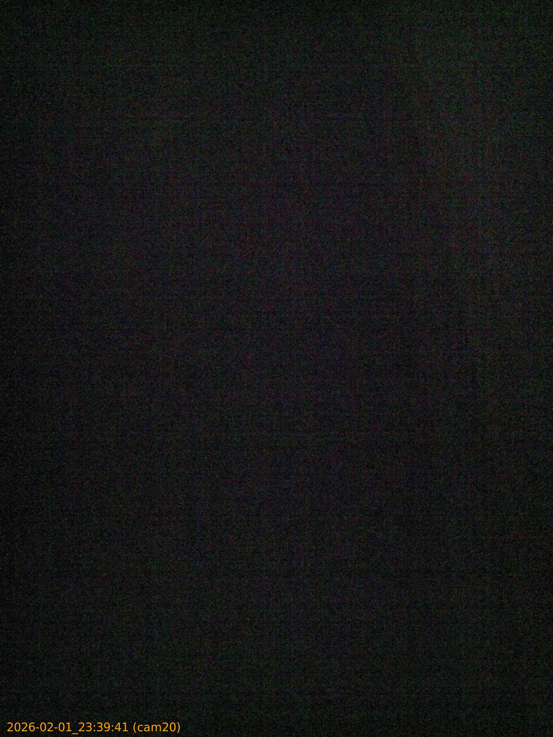 thumbnail_20260201233941