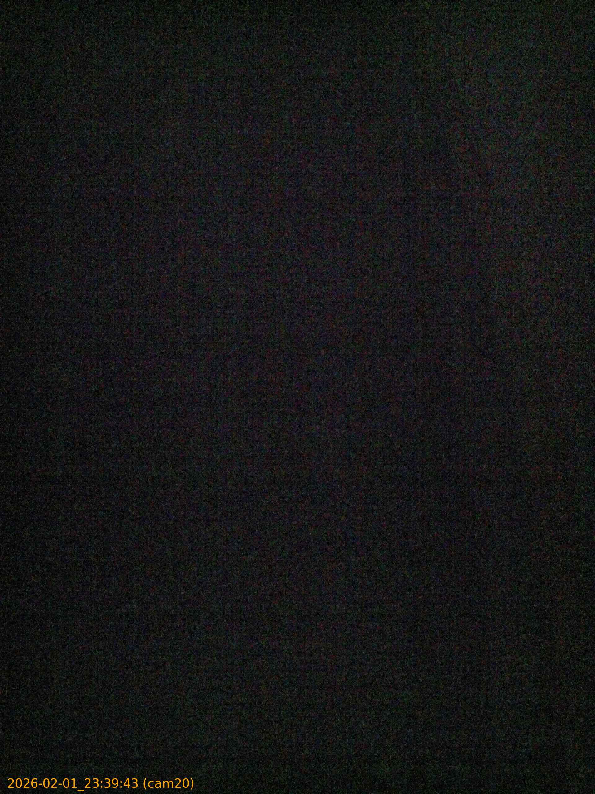 thumbnail_20260201233943