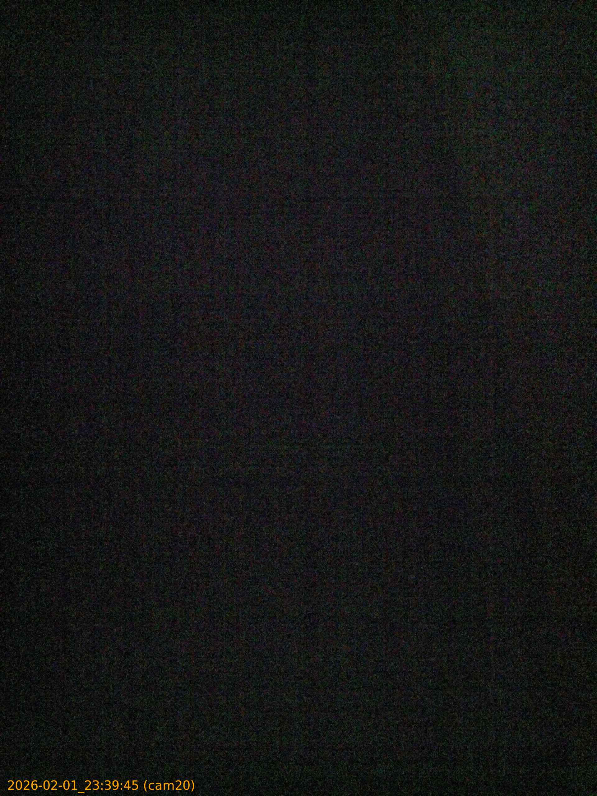 thumbnail_20260201233945