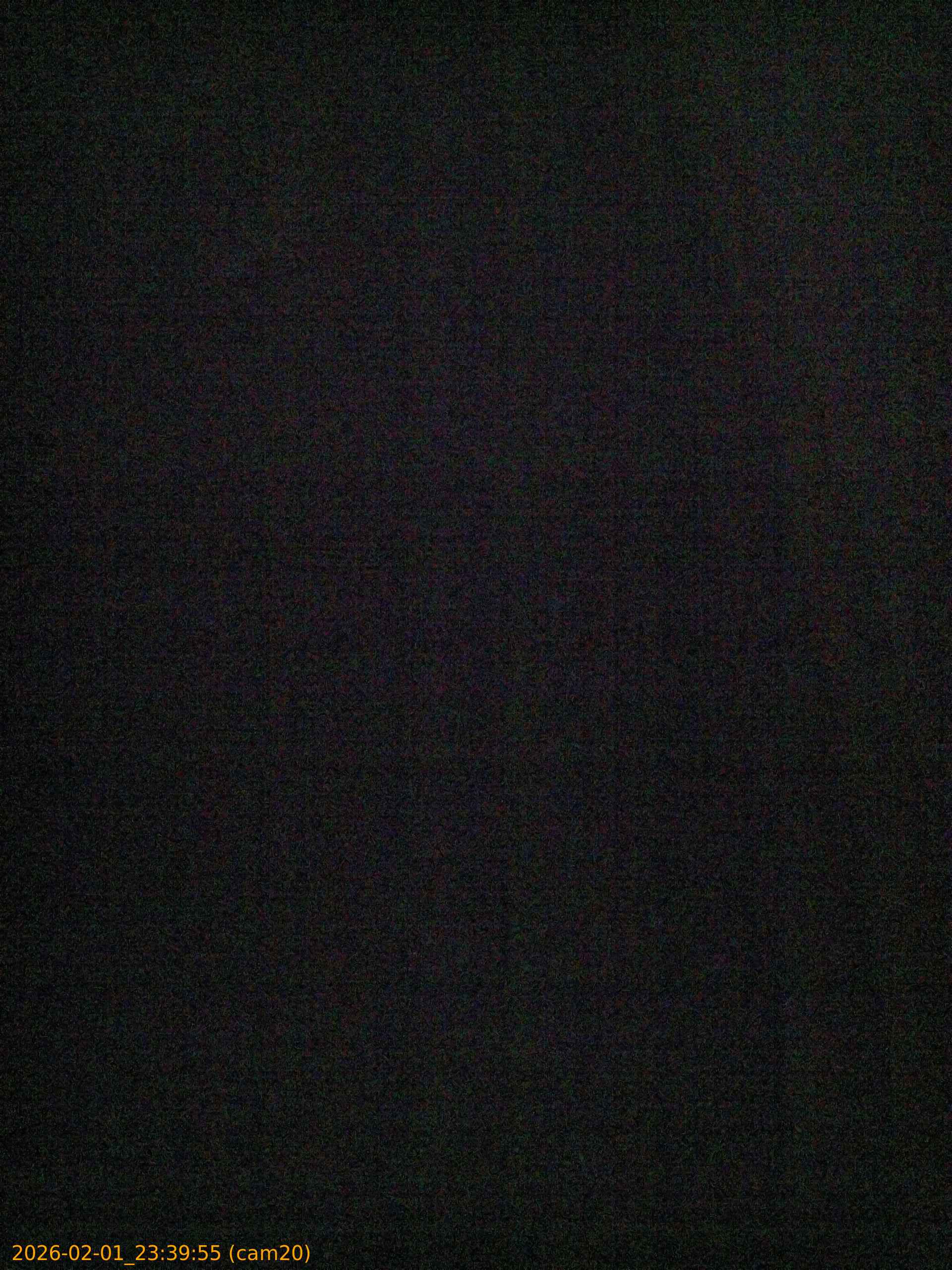 thumbnail_20260201233955