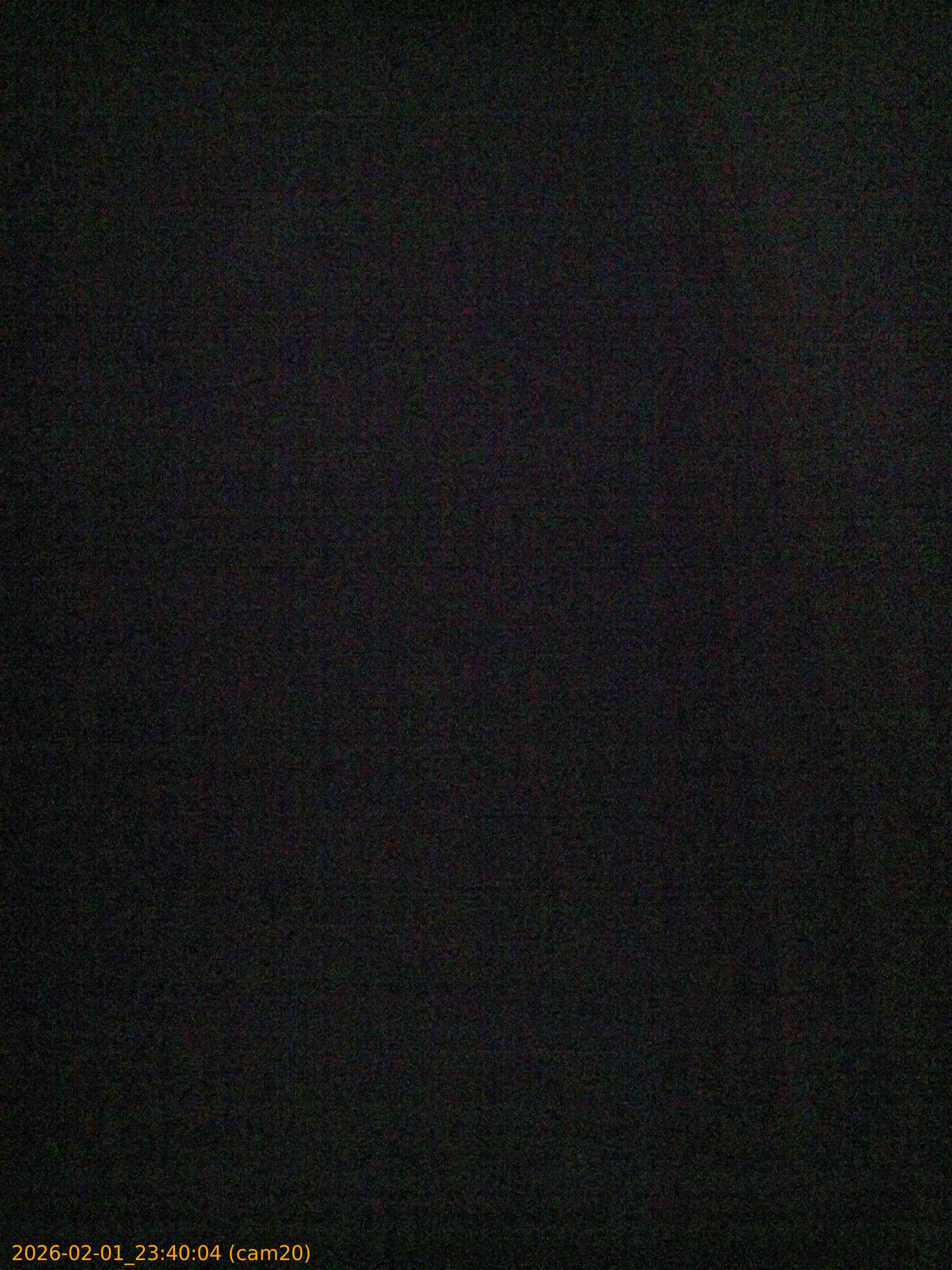 thumbnail_20260201234004