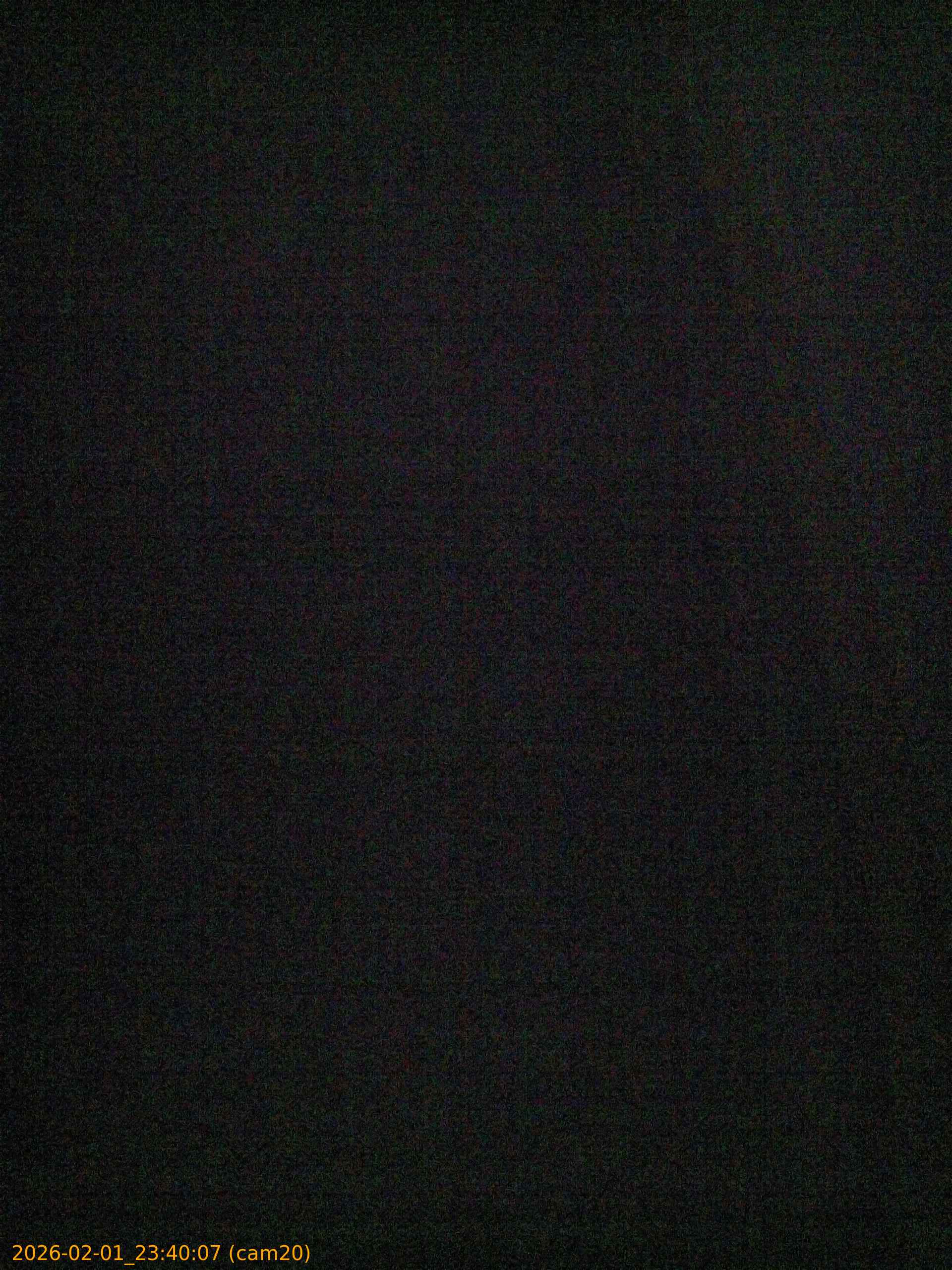 thumbnail_20260201234007