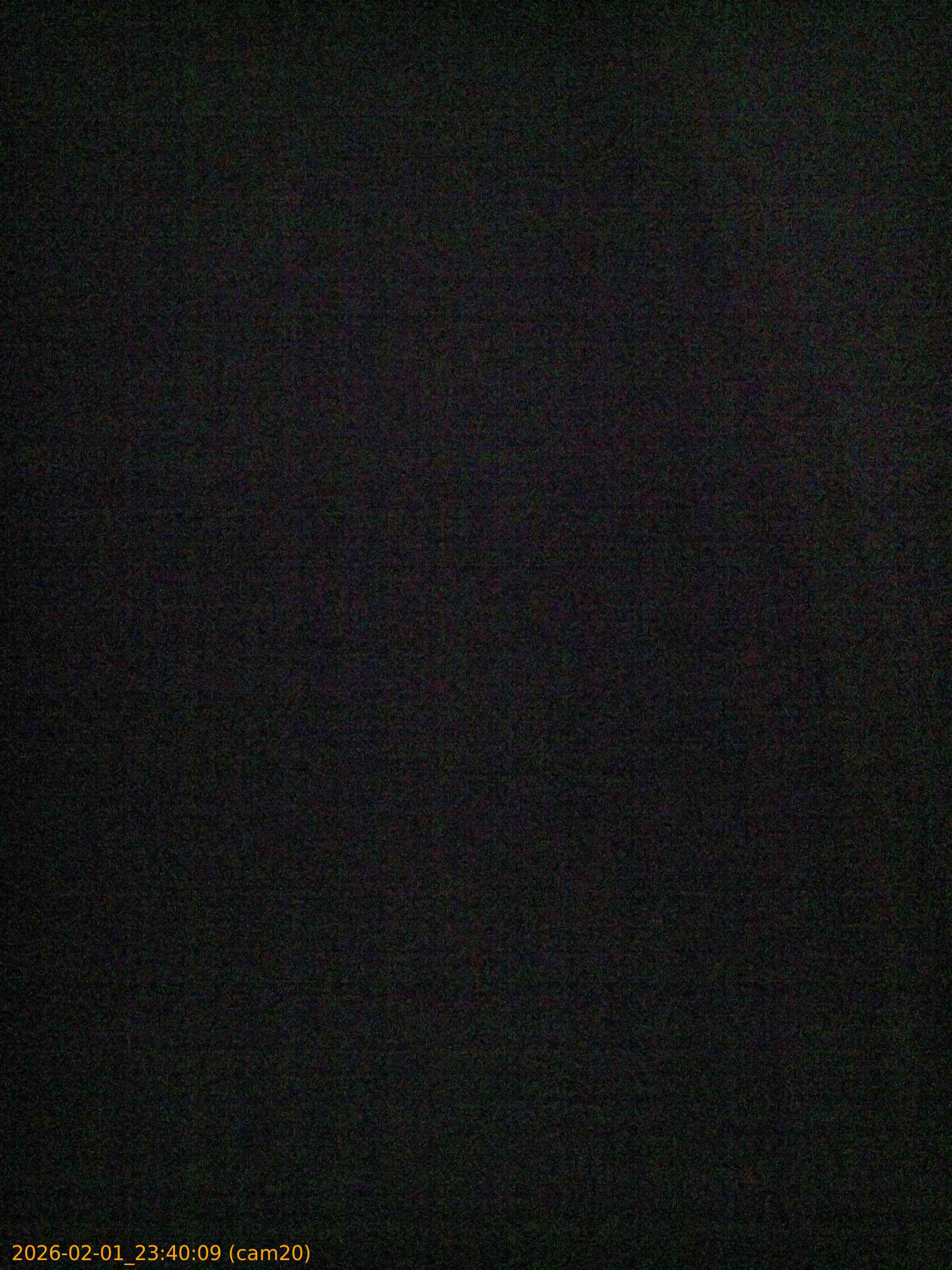 thumbnail_20260201234009