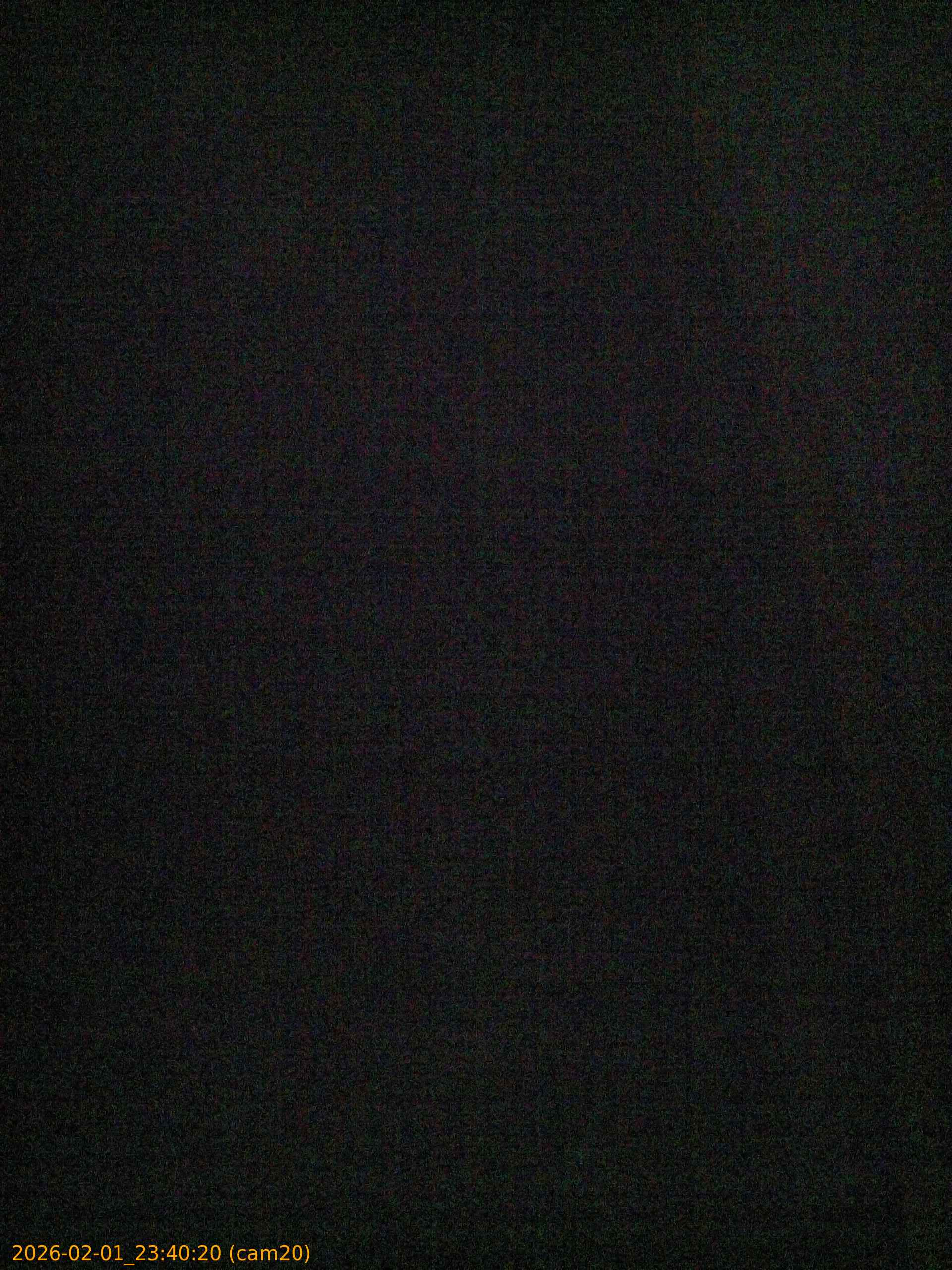 thumbnail_20260201234020